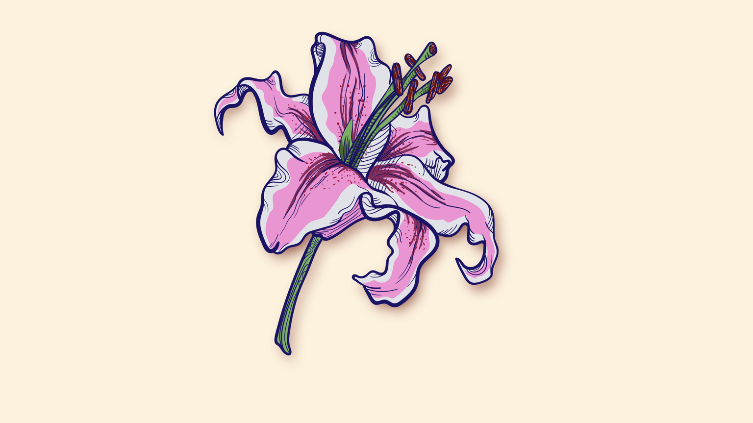 Lily created with Illustrator - image 1 - student project