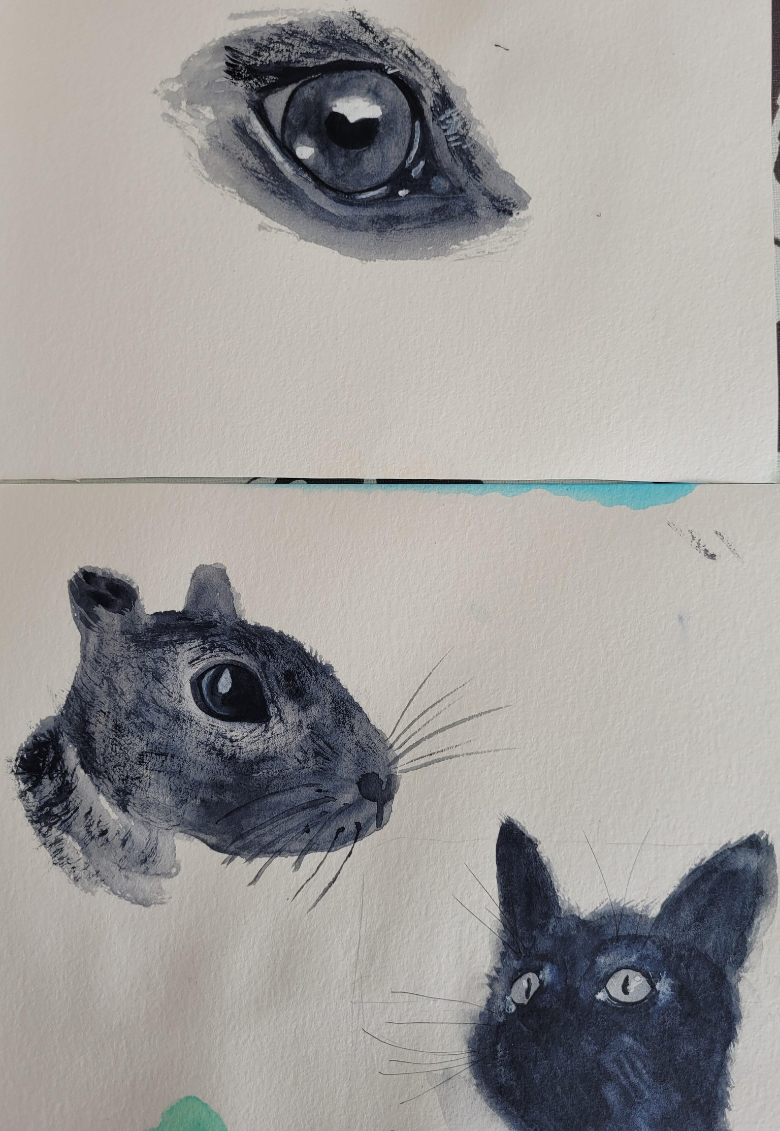 Animal eyes - image 2 - student project