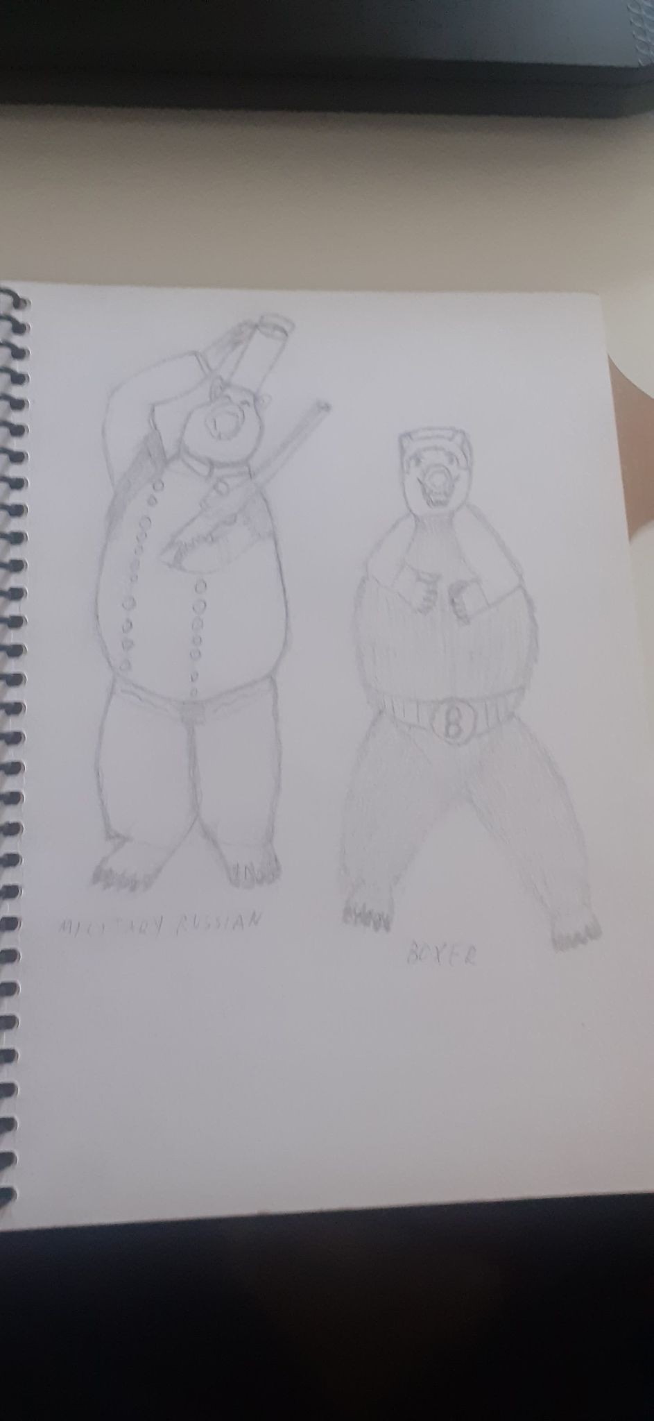 Bears and occupations - image 3 - student project