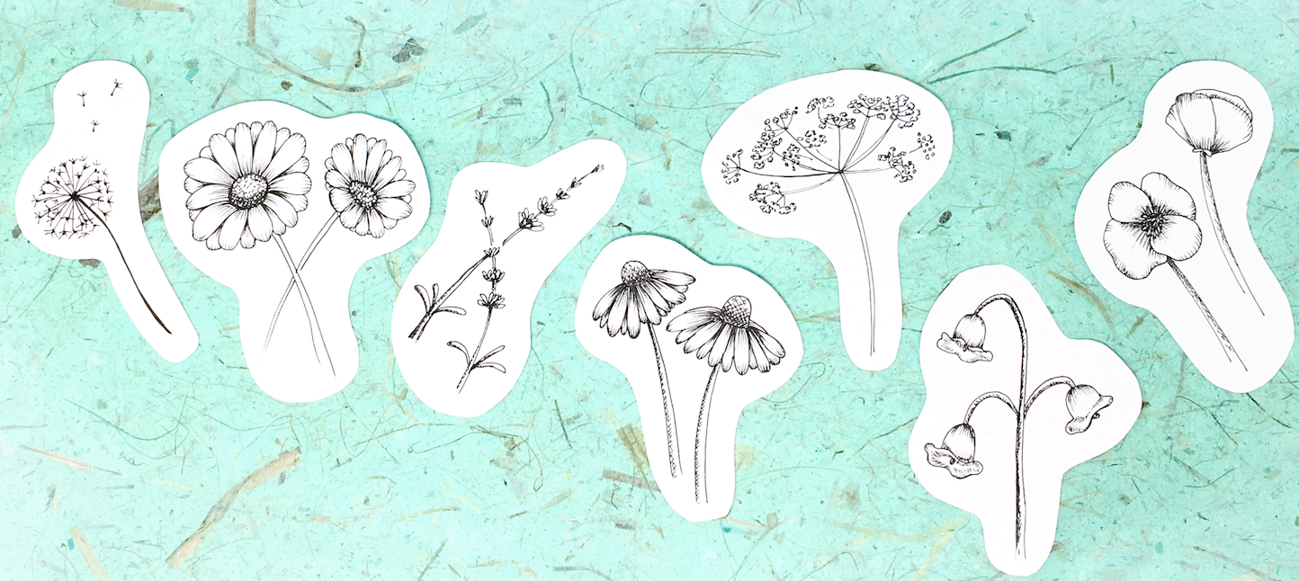 wildflowers in ink - image 1 - student project