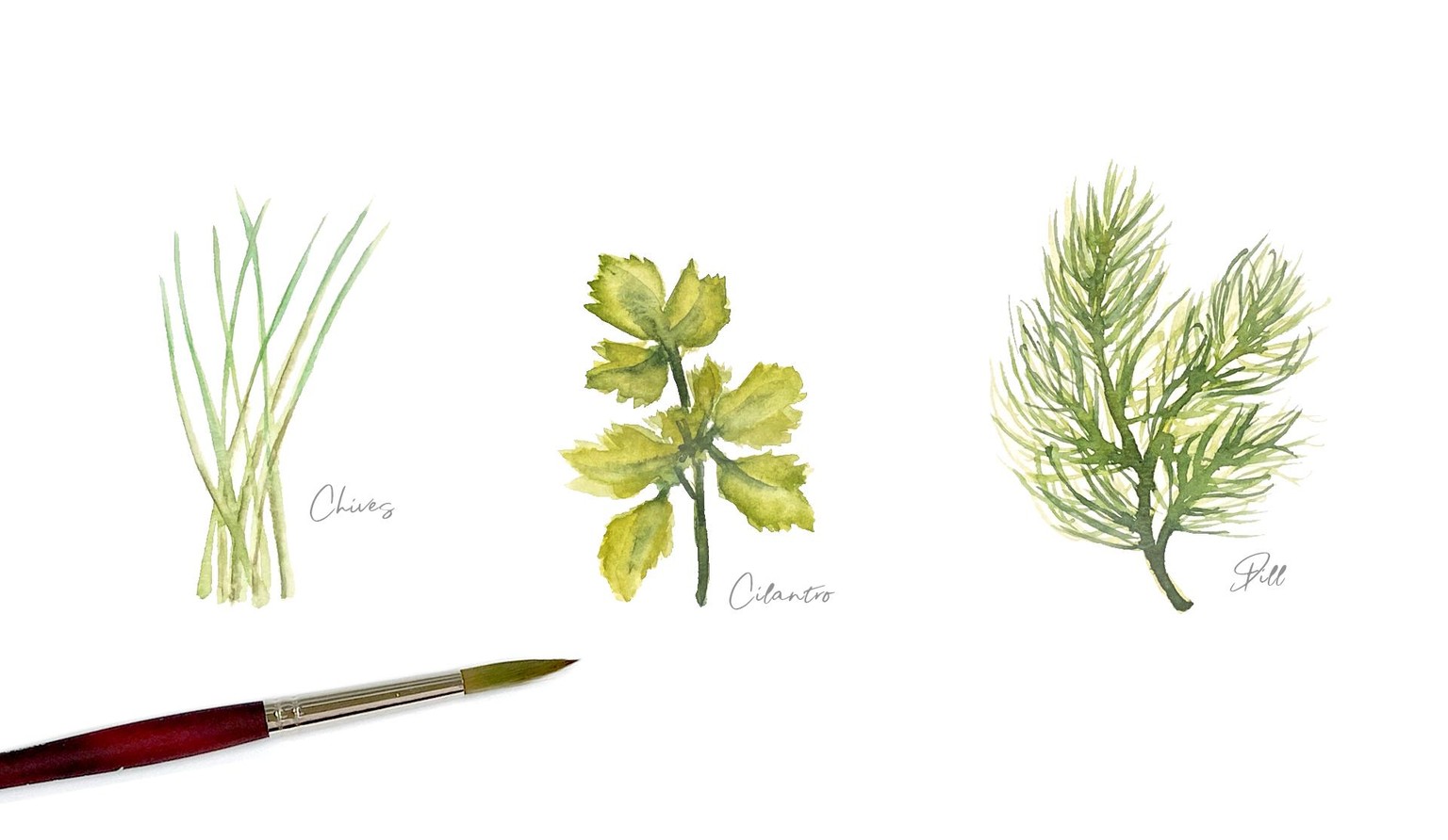 My Herb Sets - share your work :) - image 3 - student project