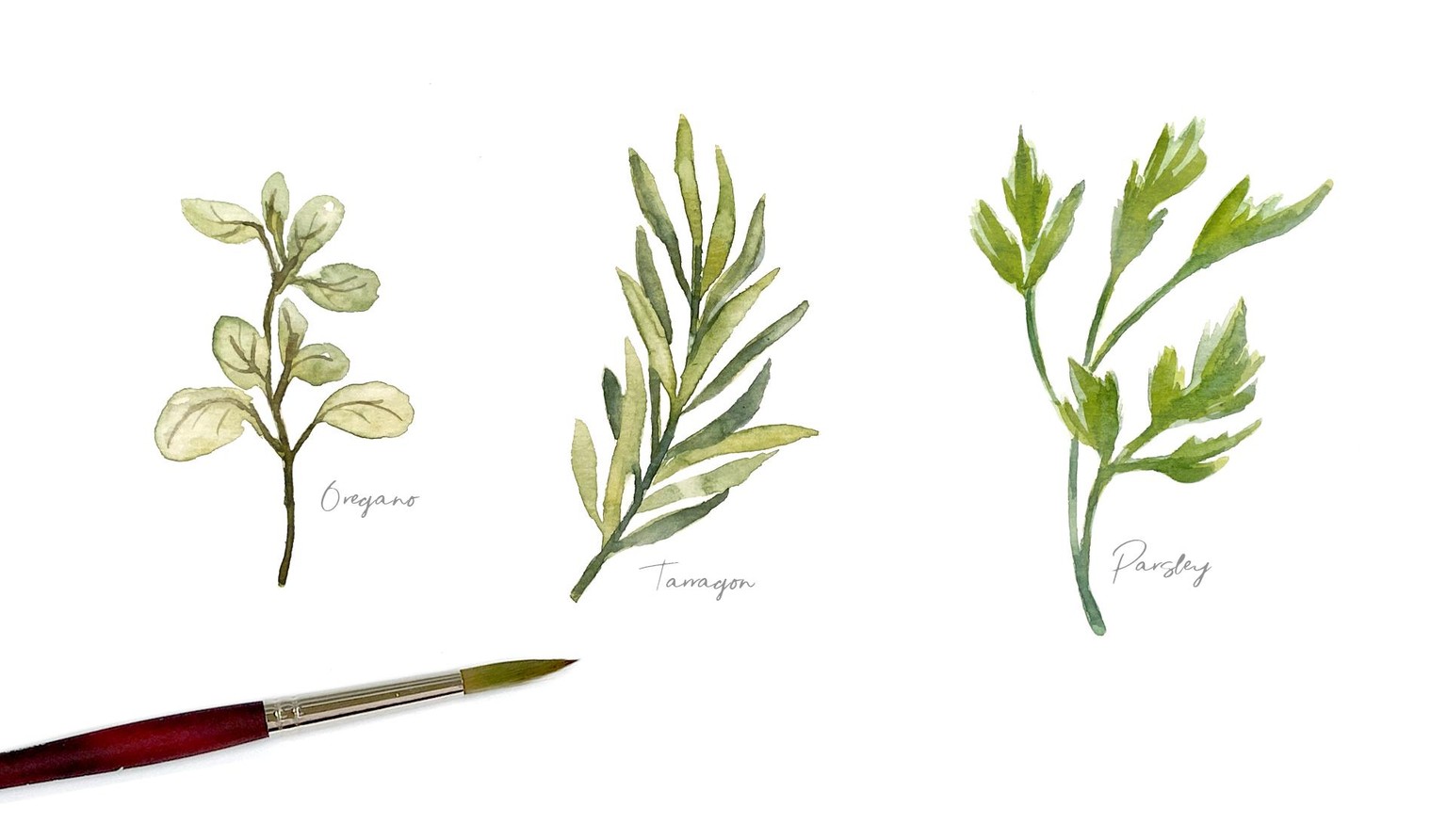 My Herb Sets - share your work :) - image 1 - student project