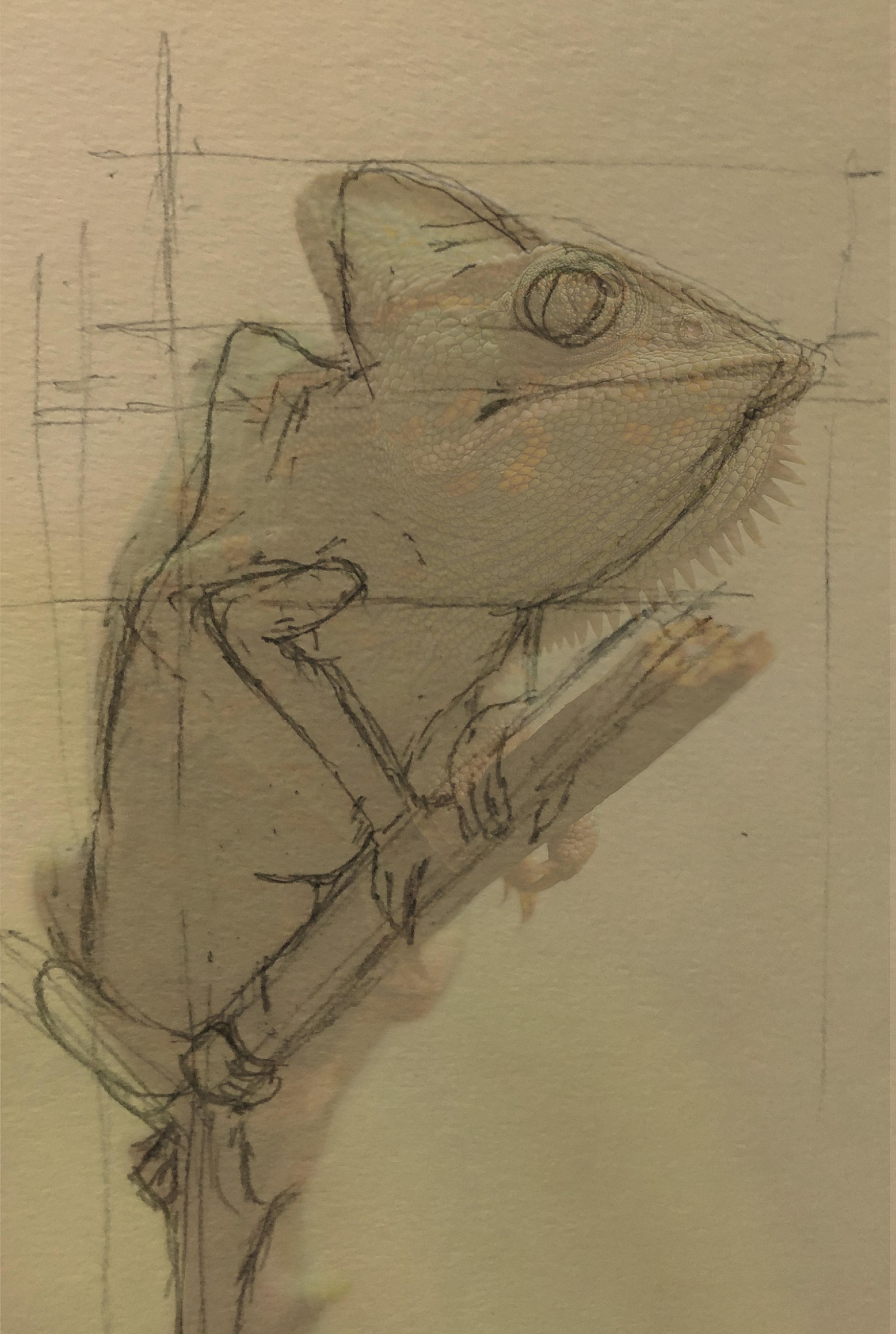 Pencil Drawing - image 4 - student project
