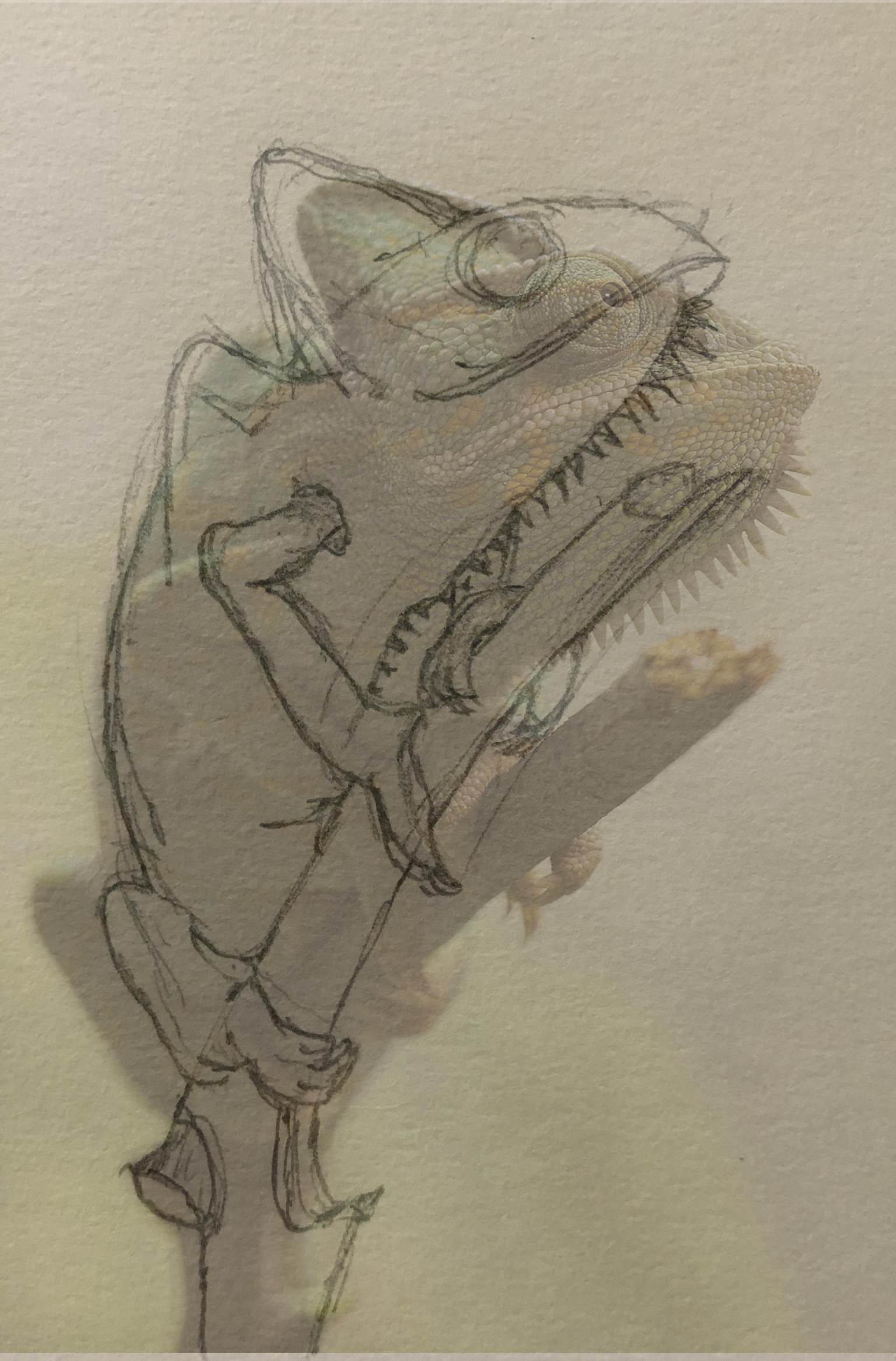 Pencil Drawing - image 1 - student project