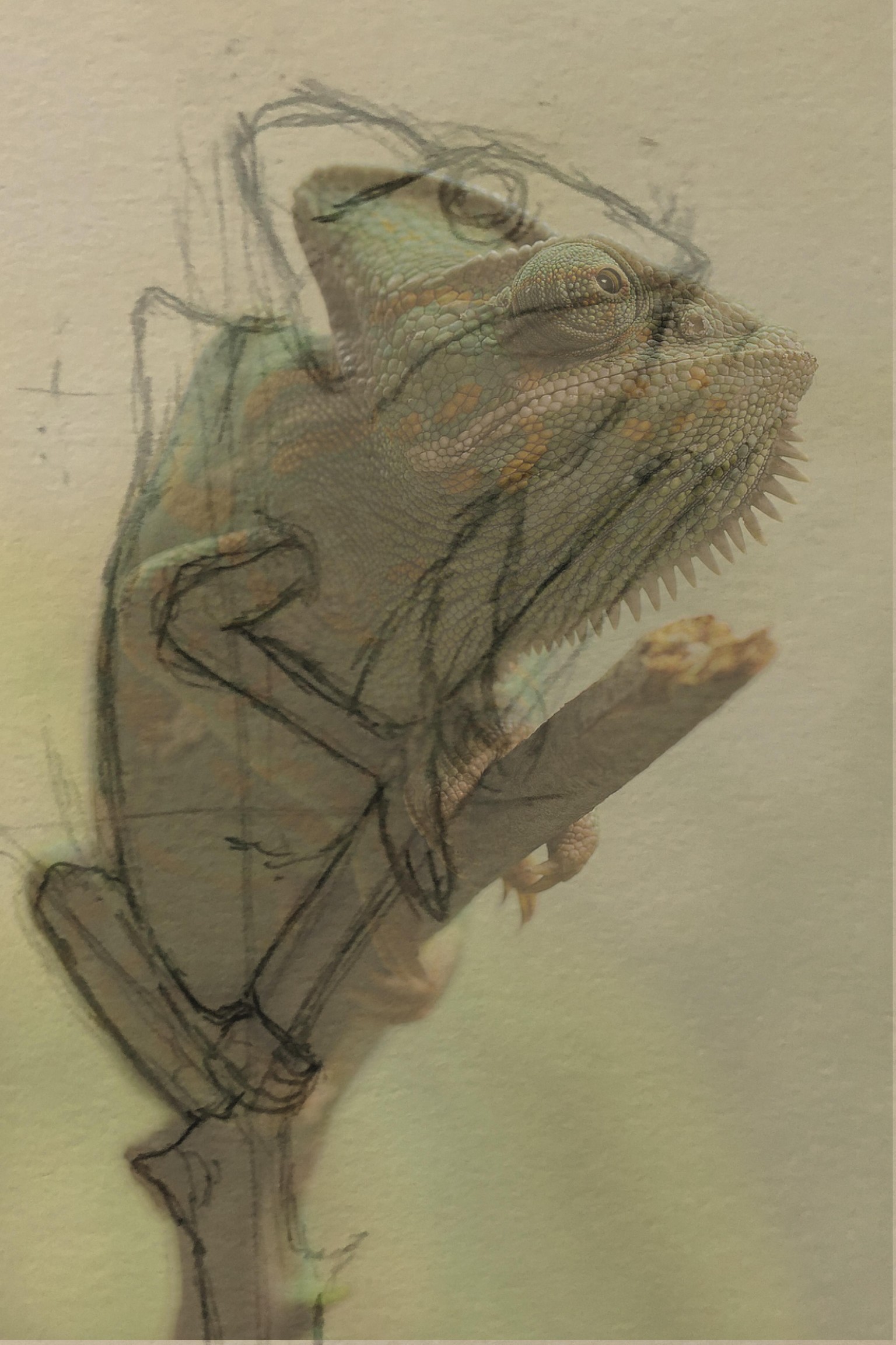 Pencil Drawing - image 2 - student project