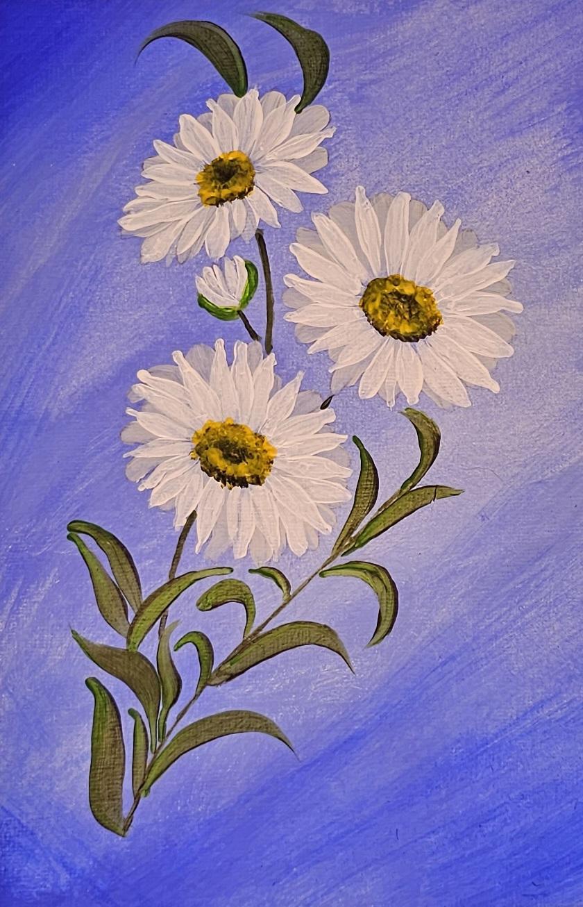 My daisies - image 1 - student project