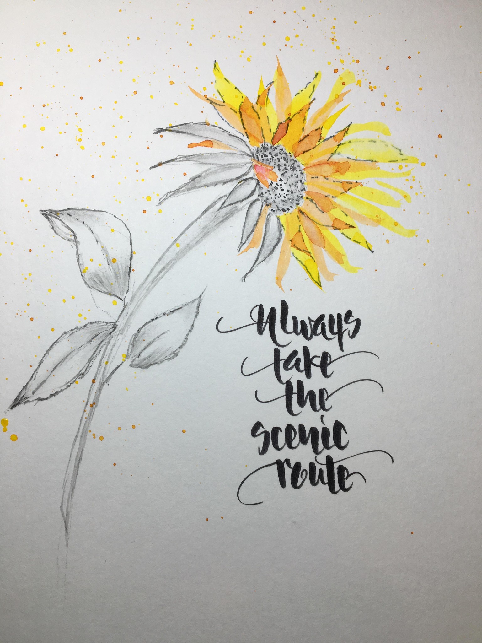 Daisies & Thistles - first intentions - image 3 - student project