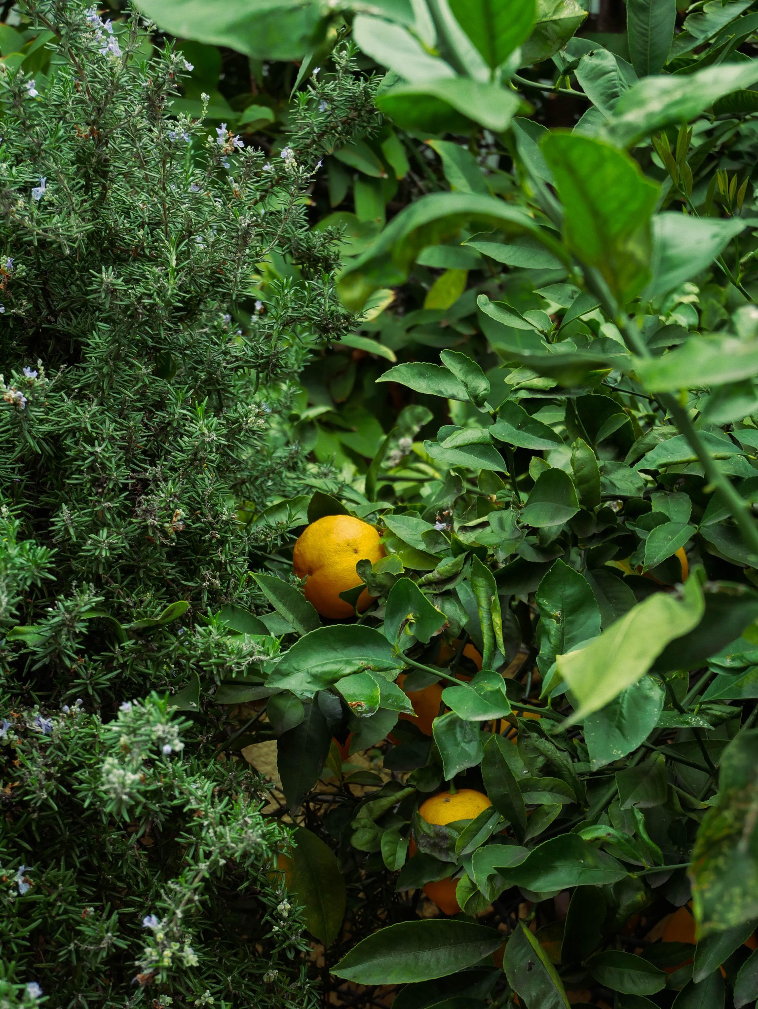 Enhancing Color Photography - image 1 - student project