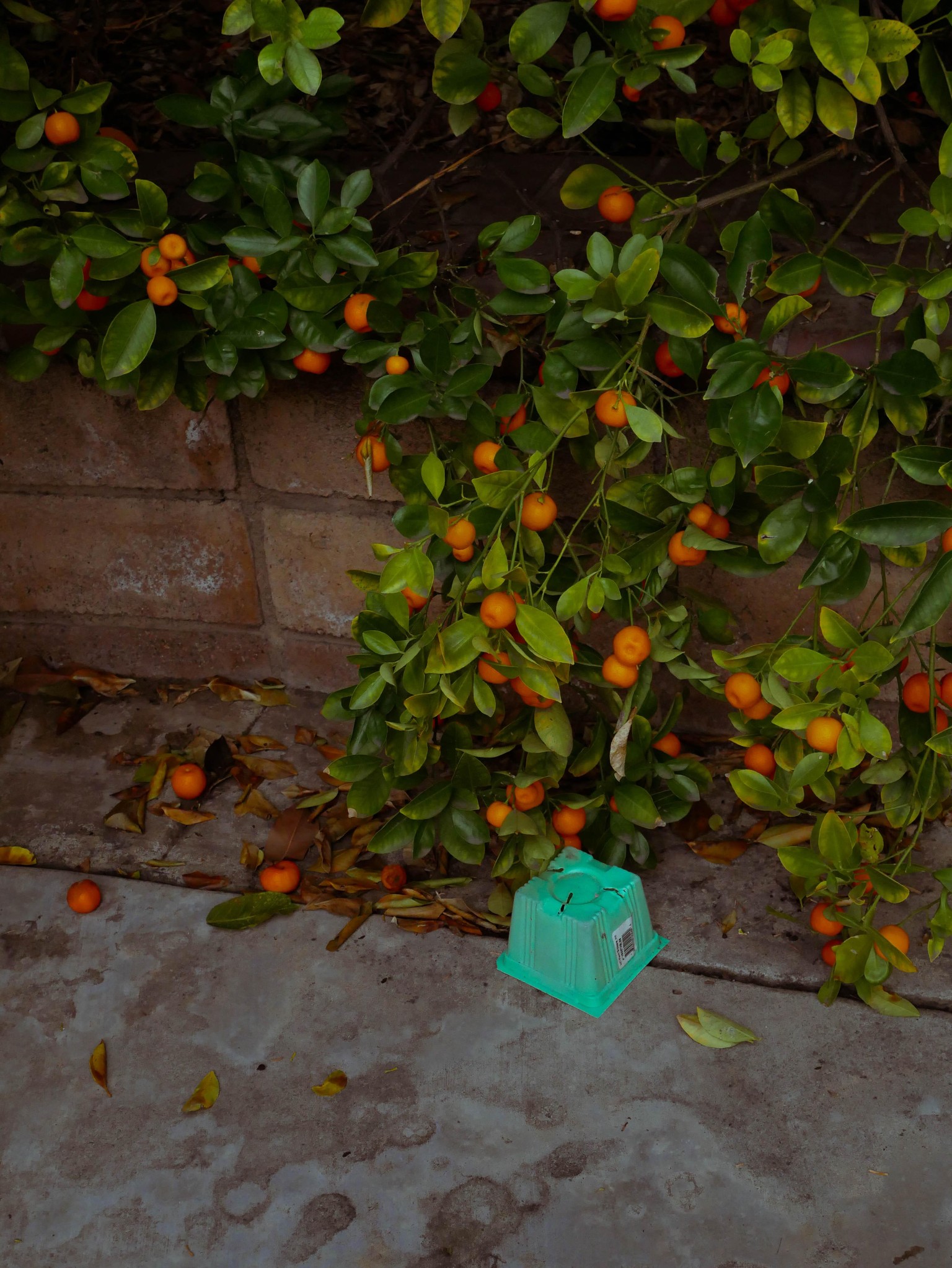 Enhancing Color Photography - image 2 - student project