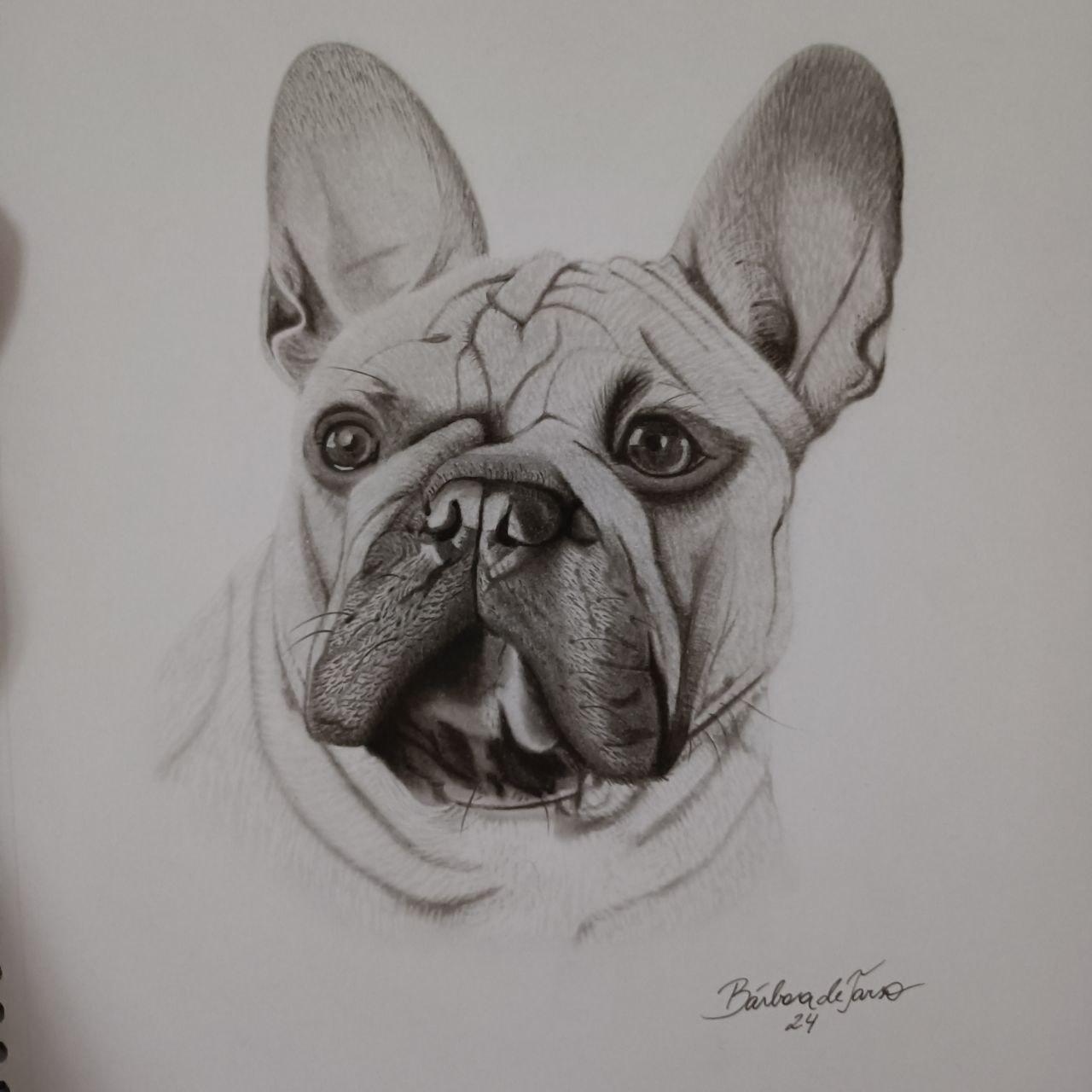 French Bulldog - image 1 - student project