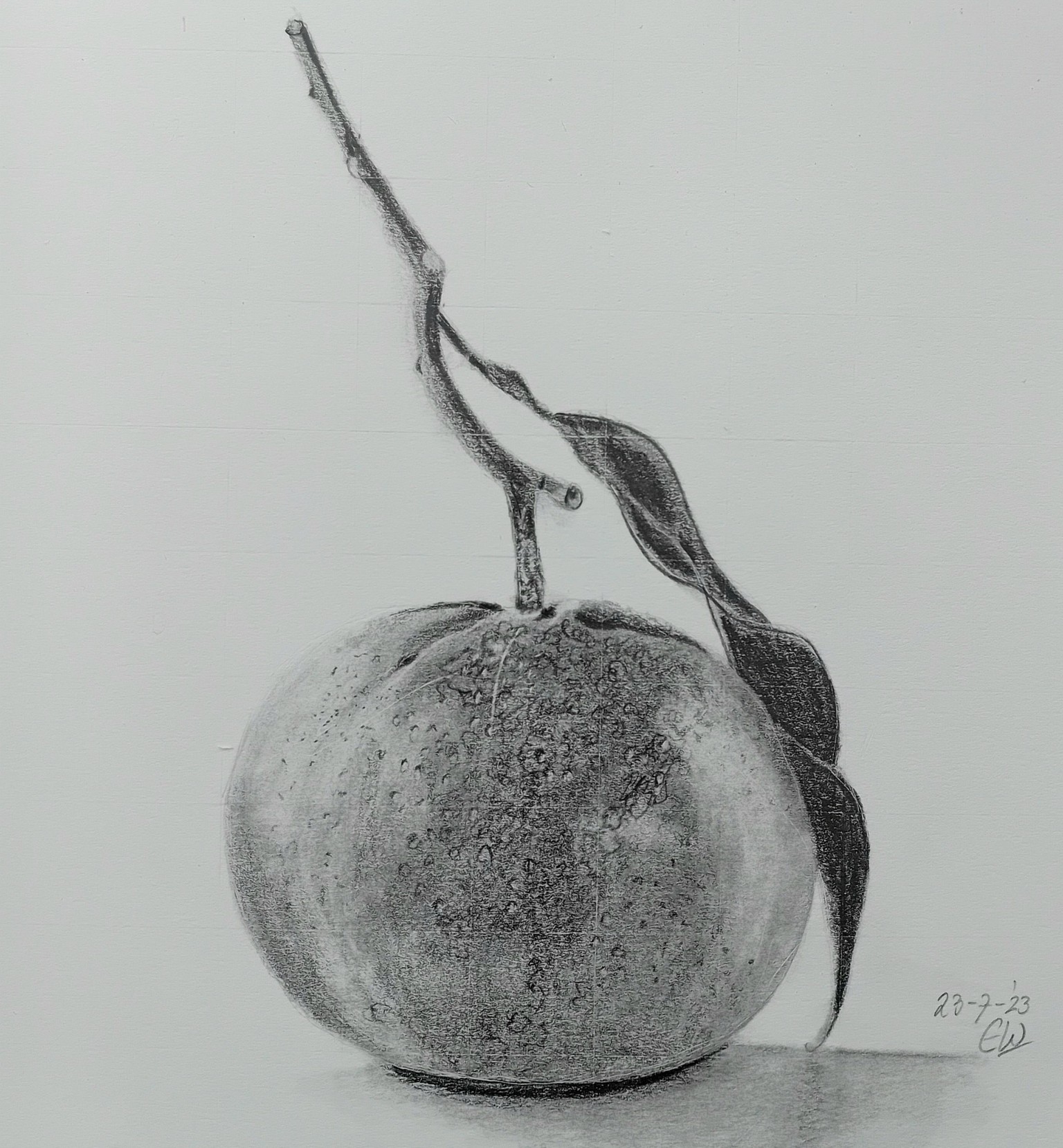 My first orange - image 1 - student project