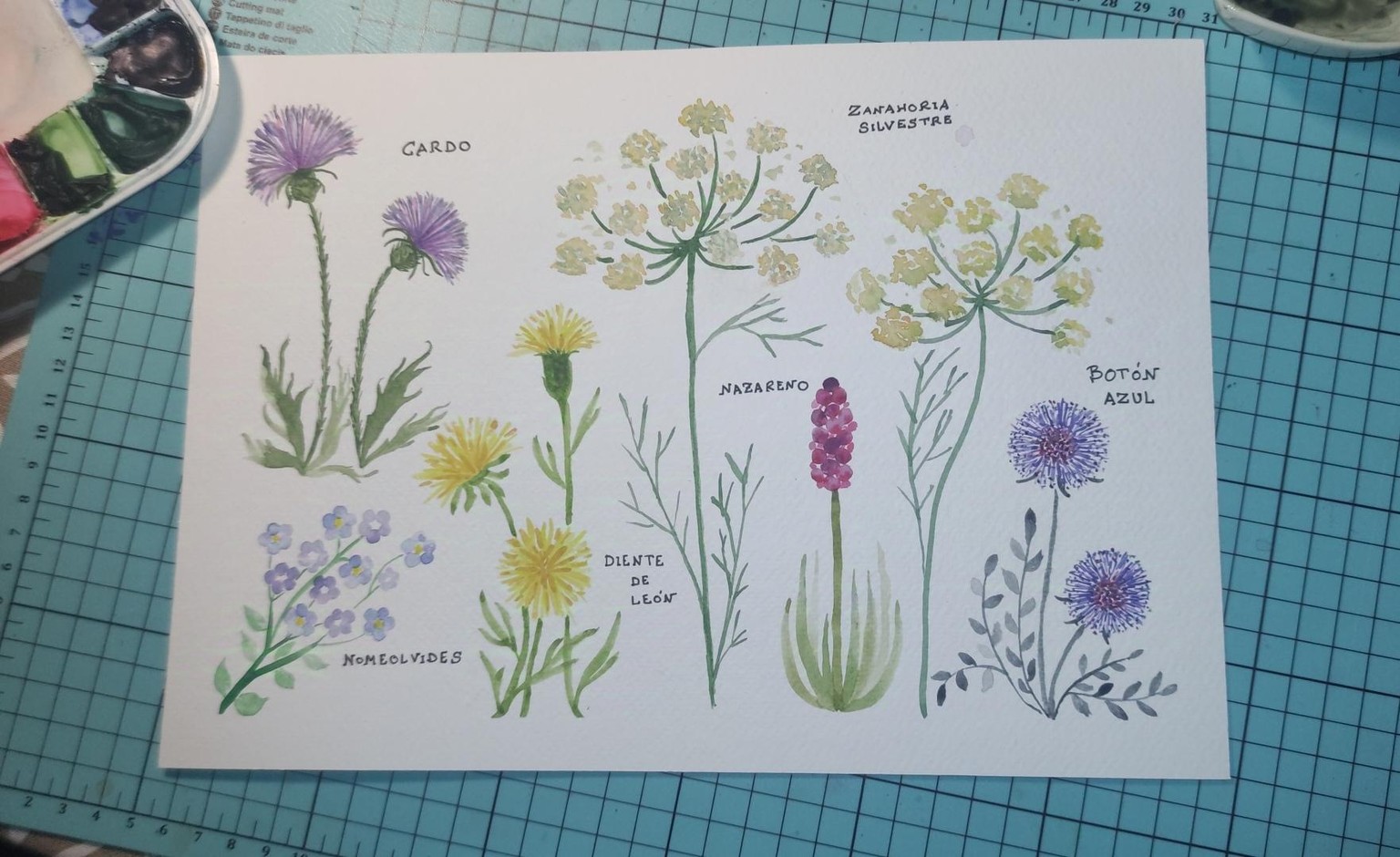 Florecillas - image 1 - student project