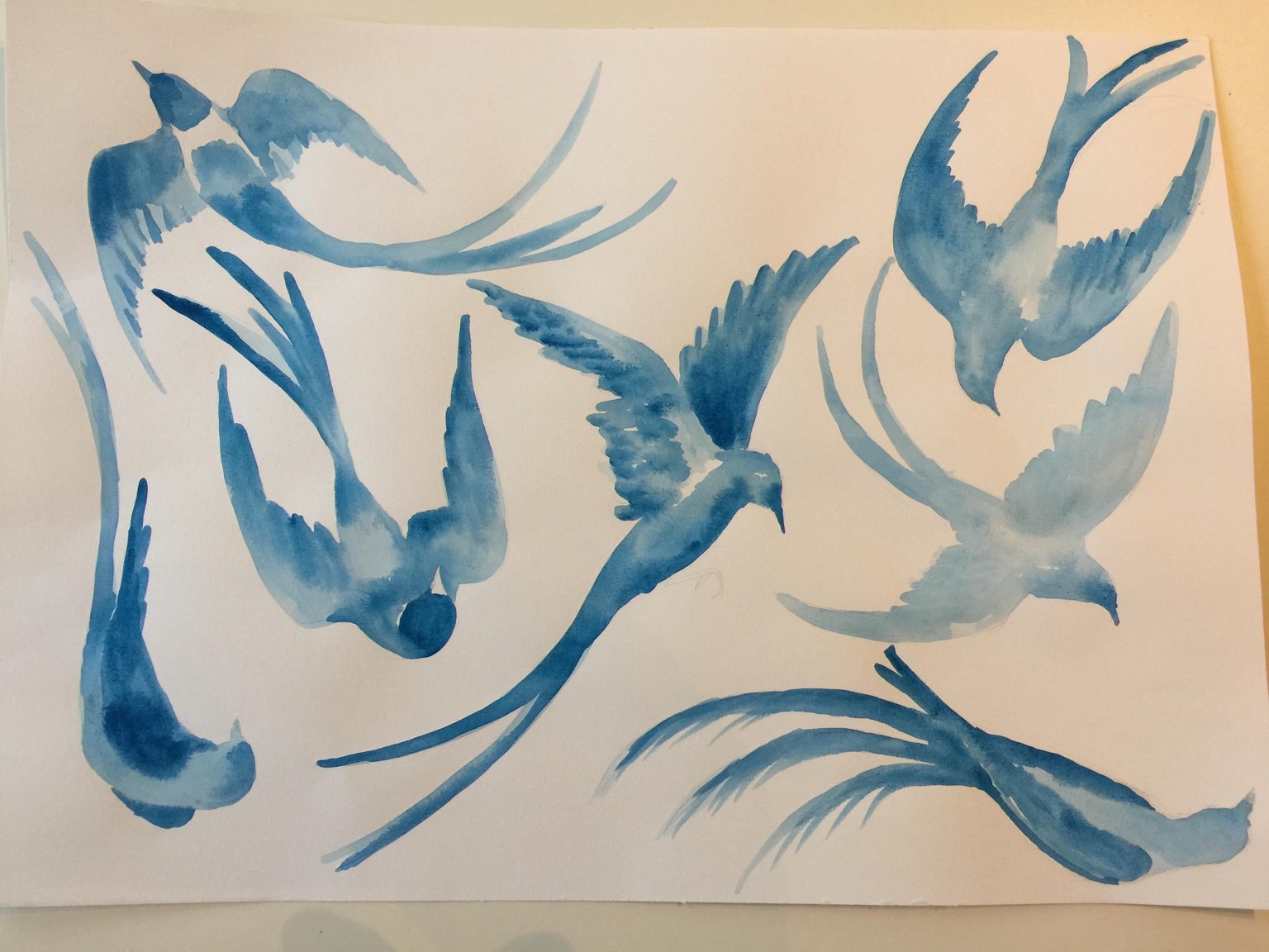 wings & tails - image 2 - student project