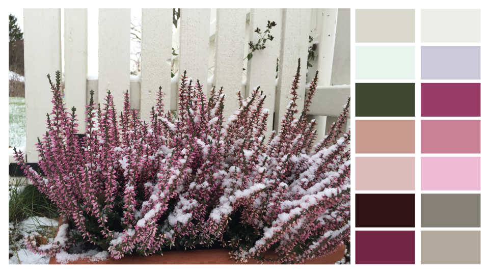 Winter Heather - image 1 - student project