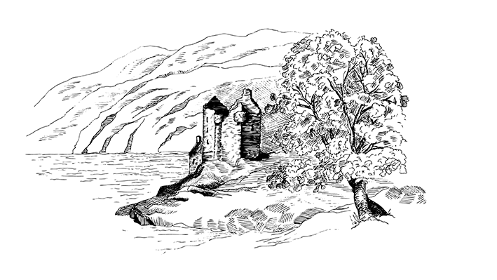 Project example: Toile de Scotia - image 5 - student project
