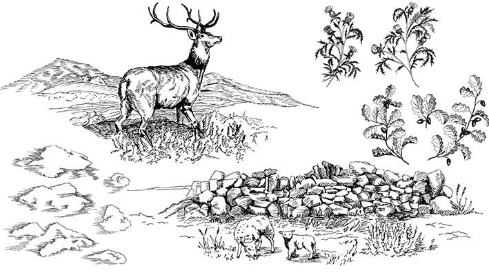 Project example: Toile de Scotia - image 8 - student project