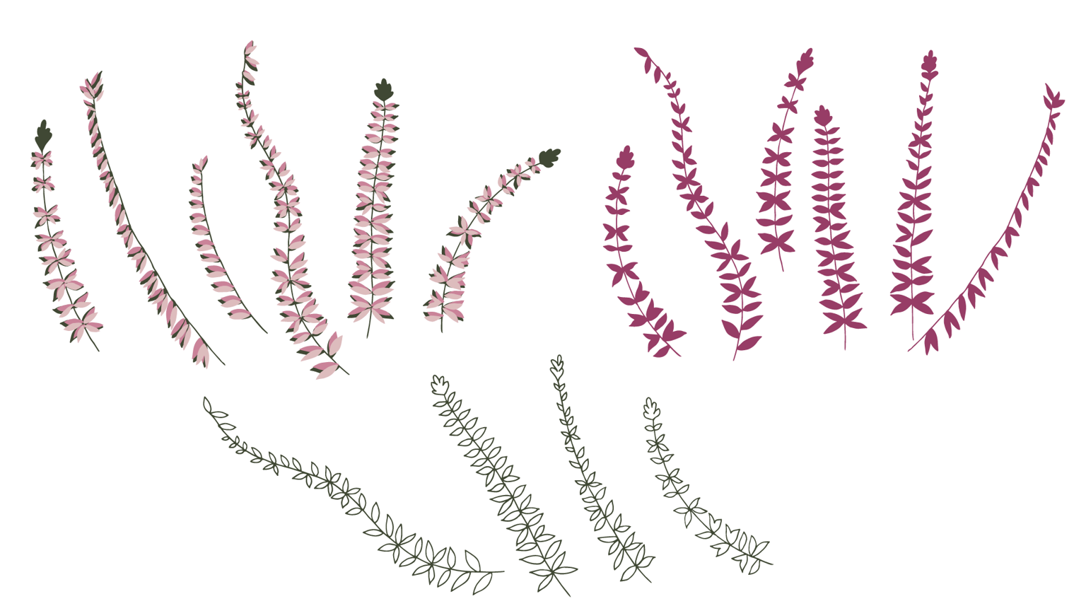 Winter Heather - image 2 - student project