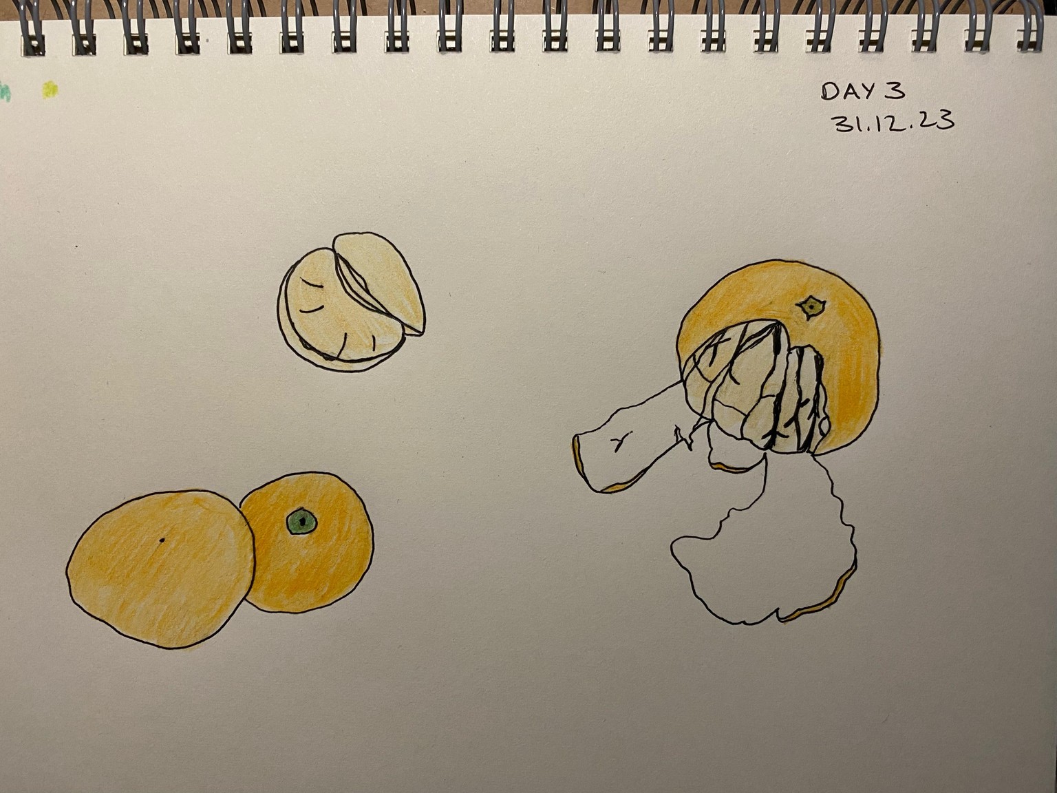 Daily food drawing practice - image 1 - student project