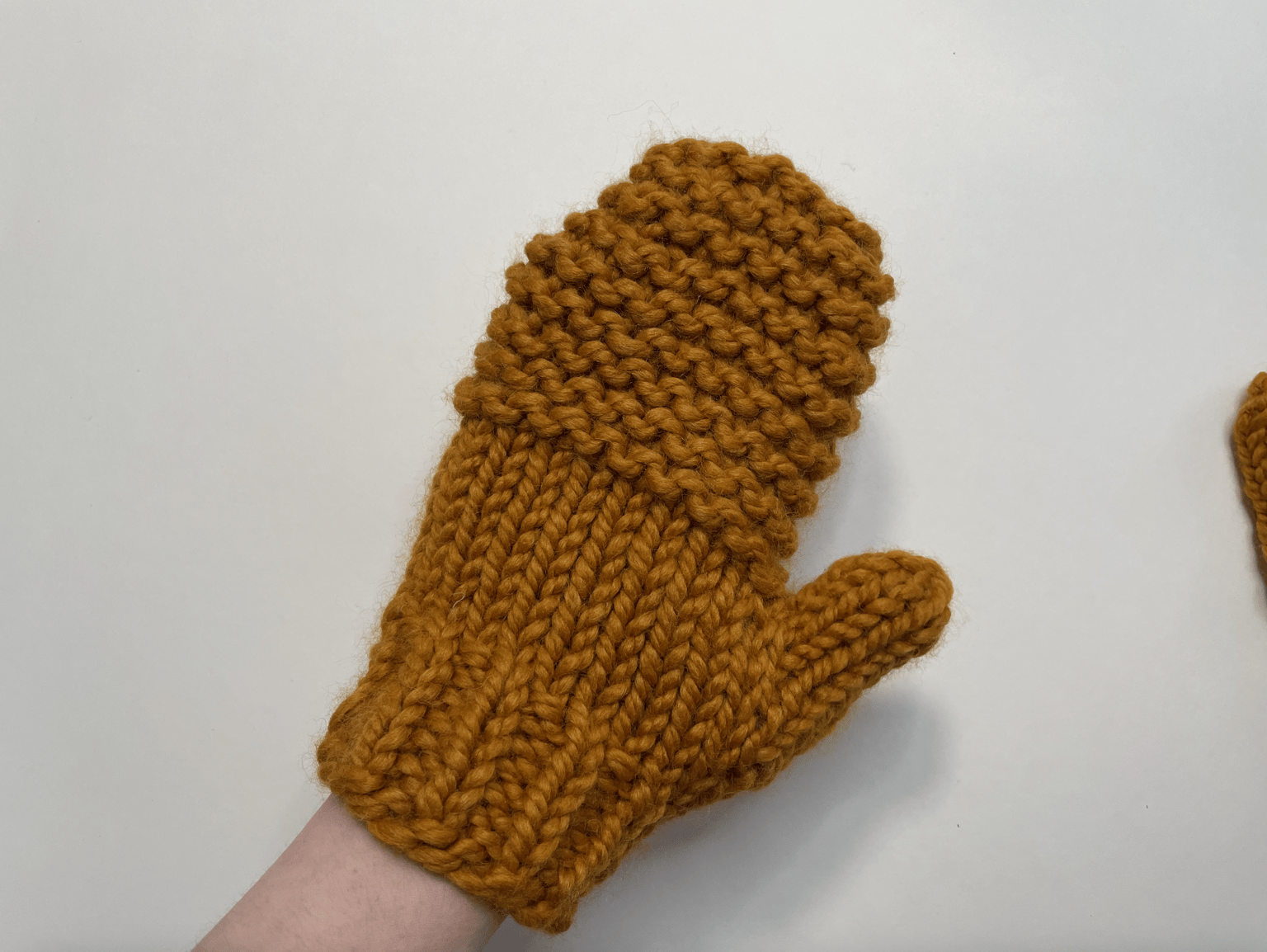 Magic Loop Mittens - image 1 - student project