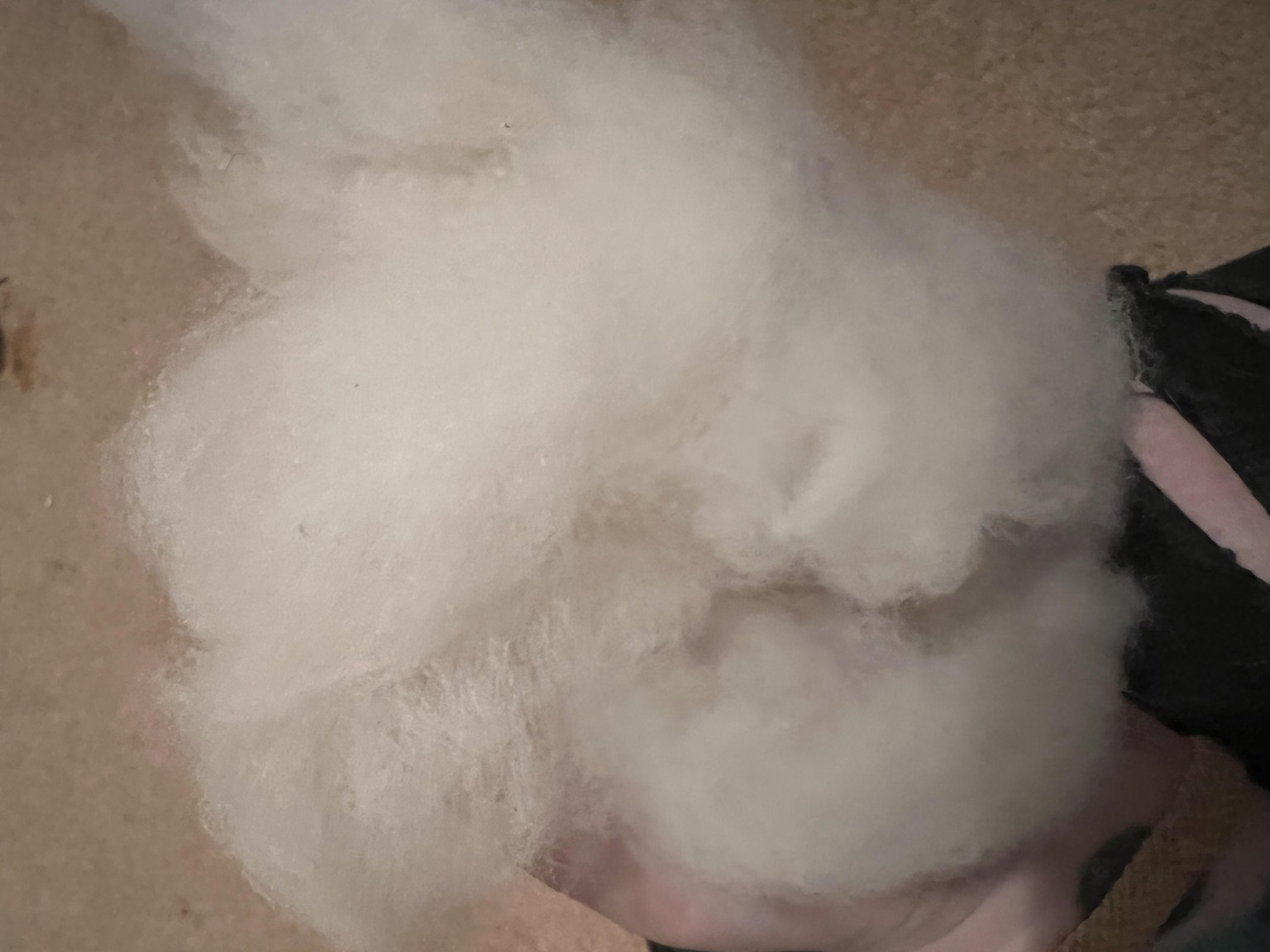 Before and After Wool Washing - image 1 - student project
