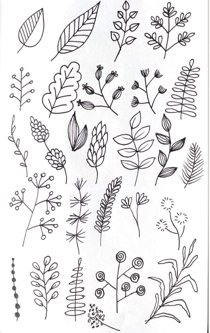 flowers ad leaves - image 1 - student project