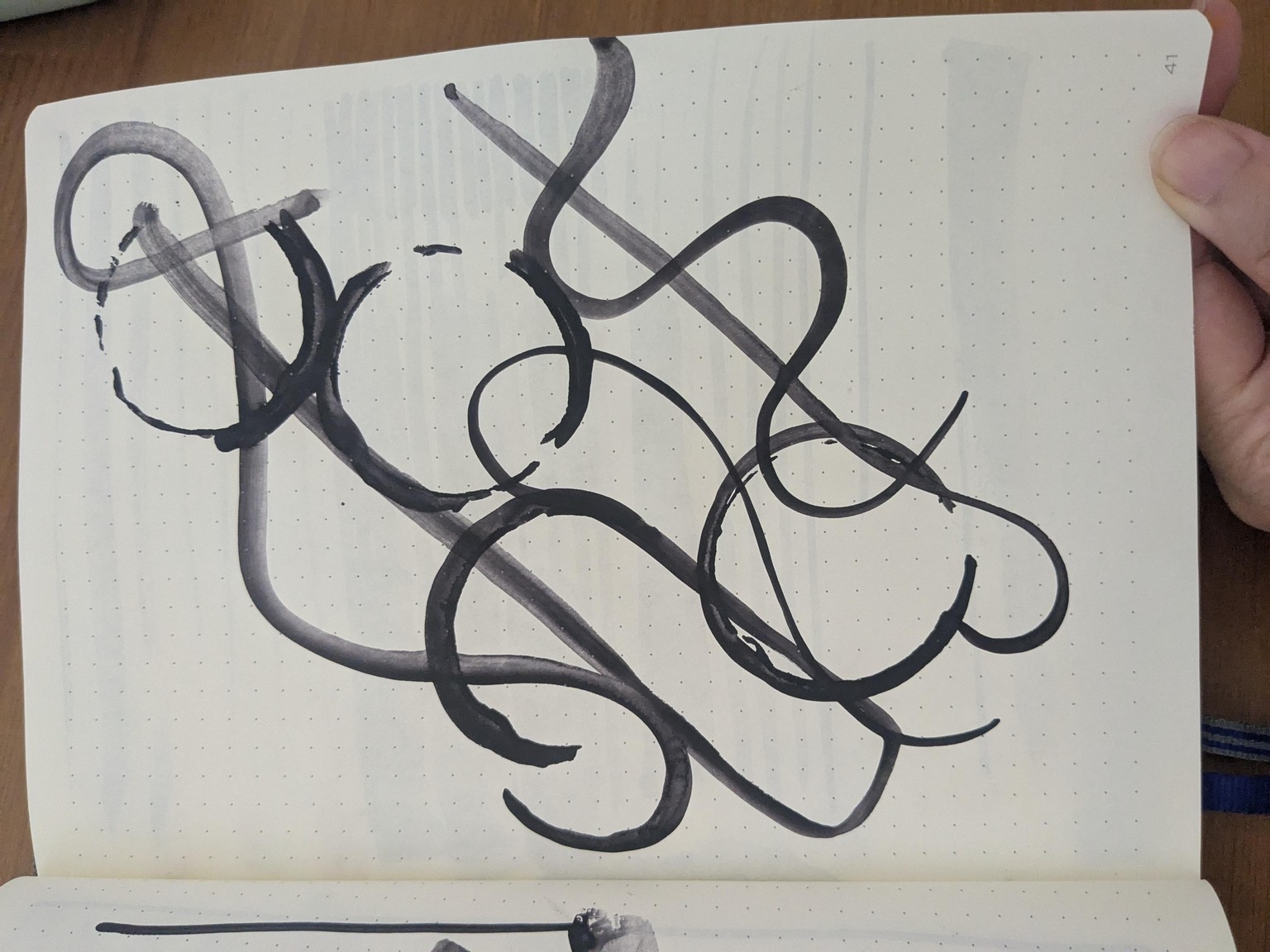 Exploring Lines - image 3 - student project