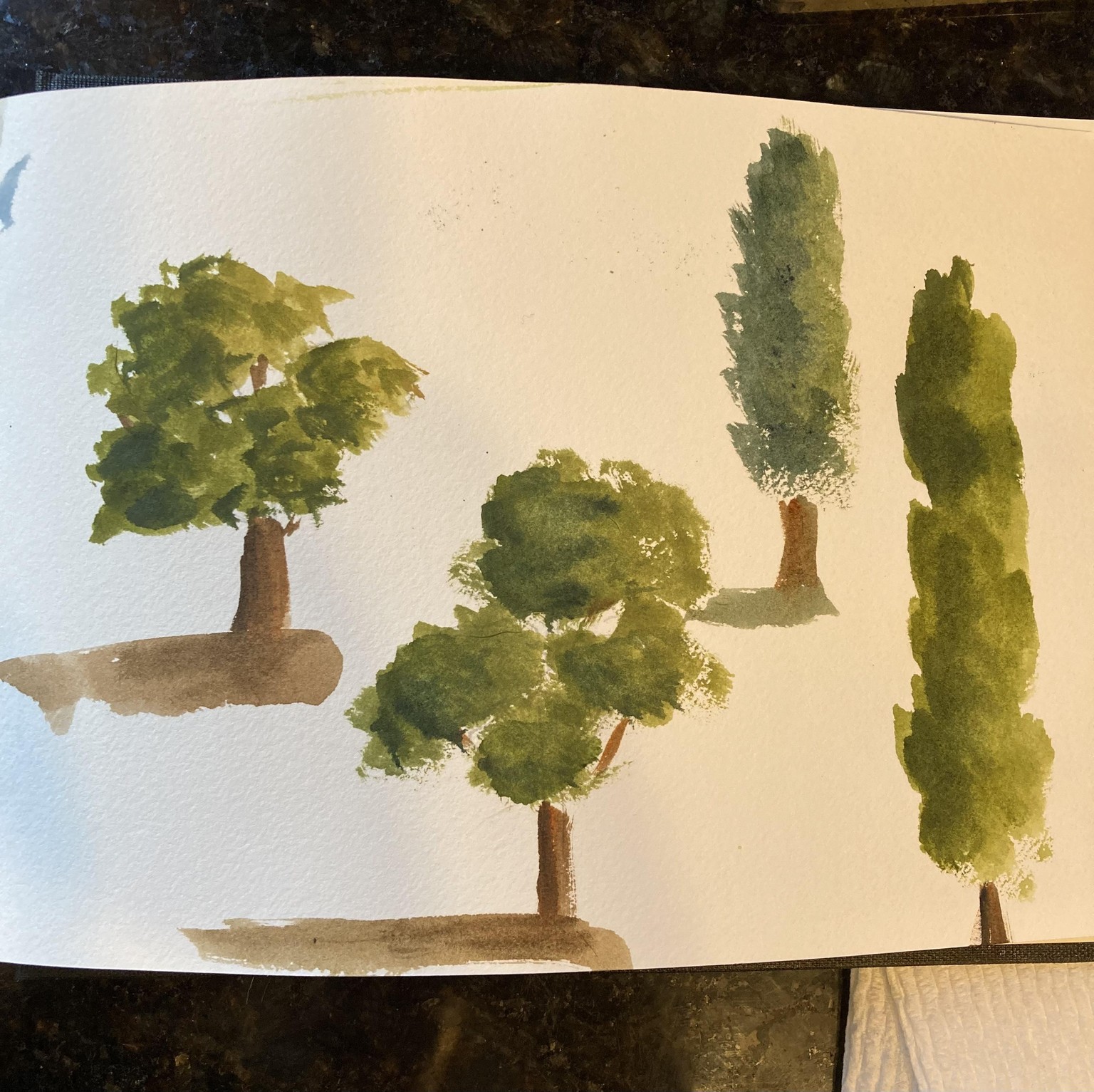 Tonal landscape practice - image 3 - student project