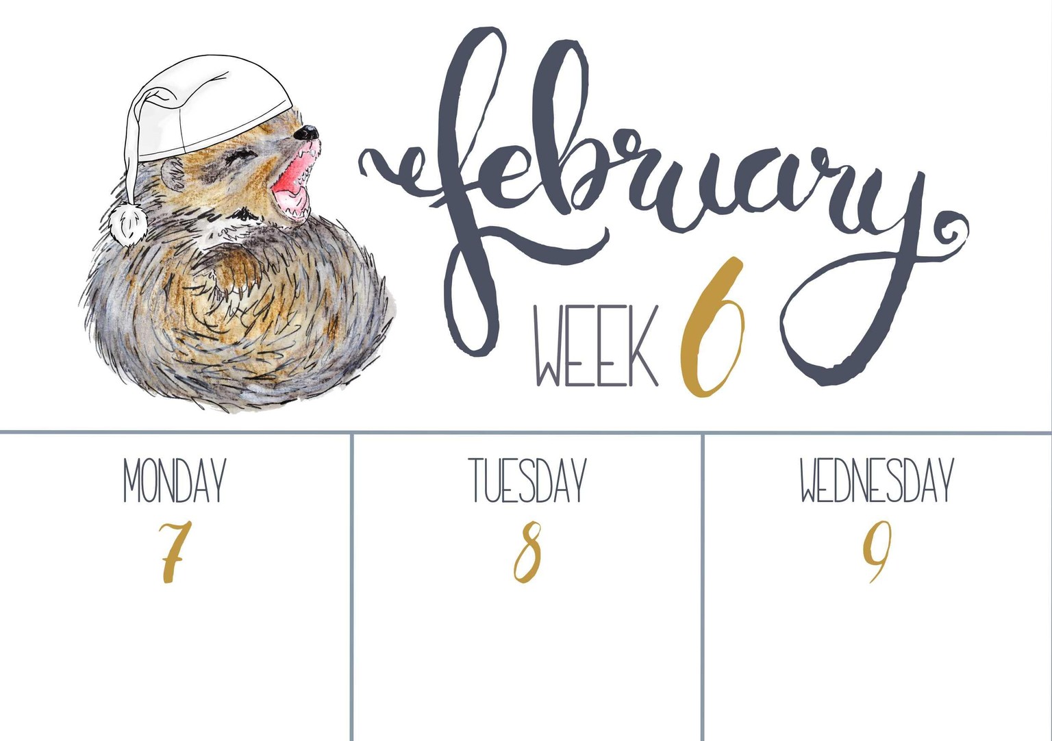 hibernating animal calendar - image 3 - student project