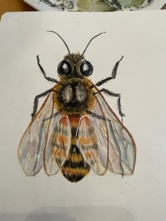 Watercolor bee - image 1 - student project
