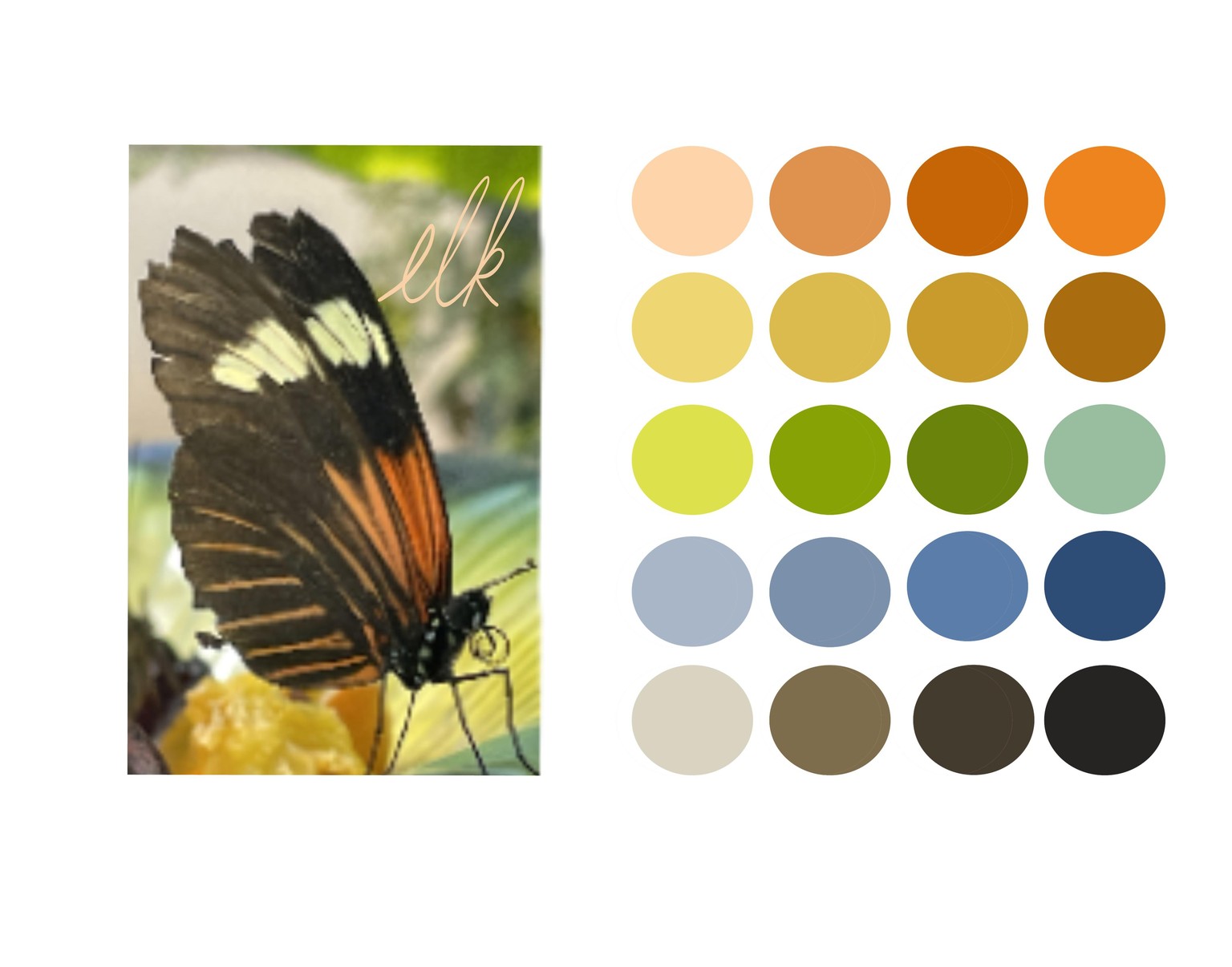 Colorado Color Palettes - image 1 - student project