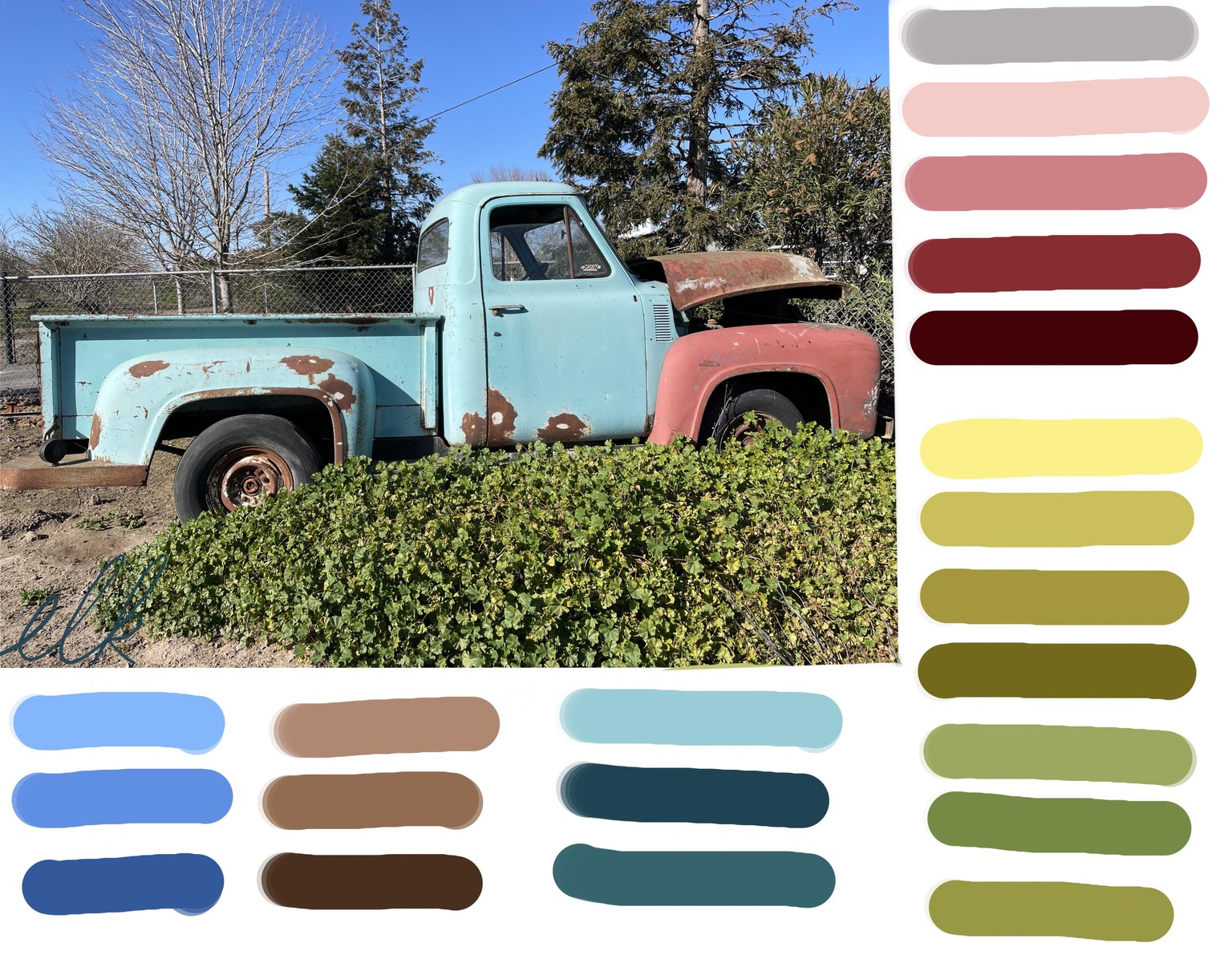 Colorado Color Palettes - image 4 - student project