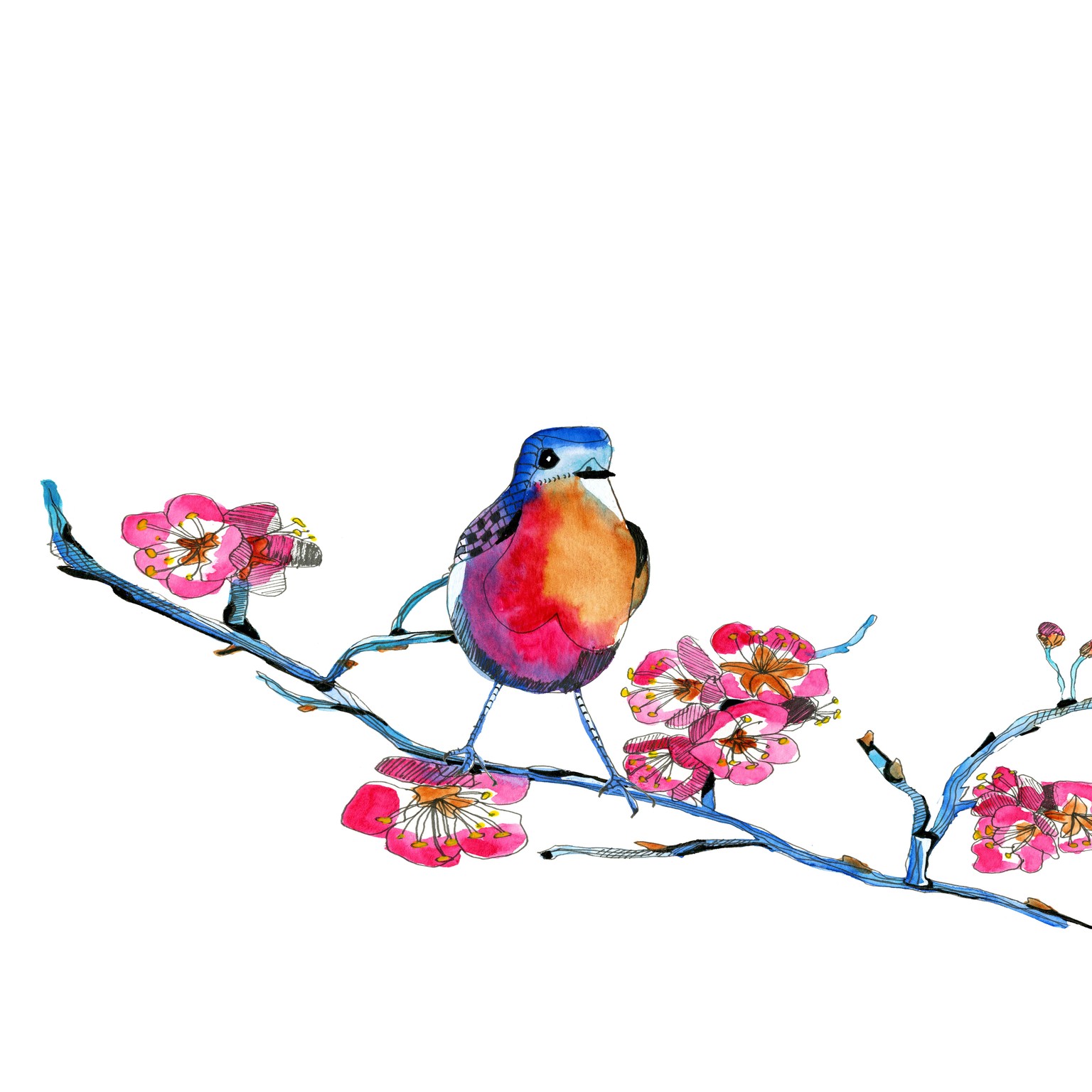 Spring birds - image 2 - student project