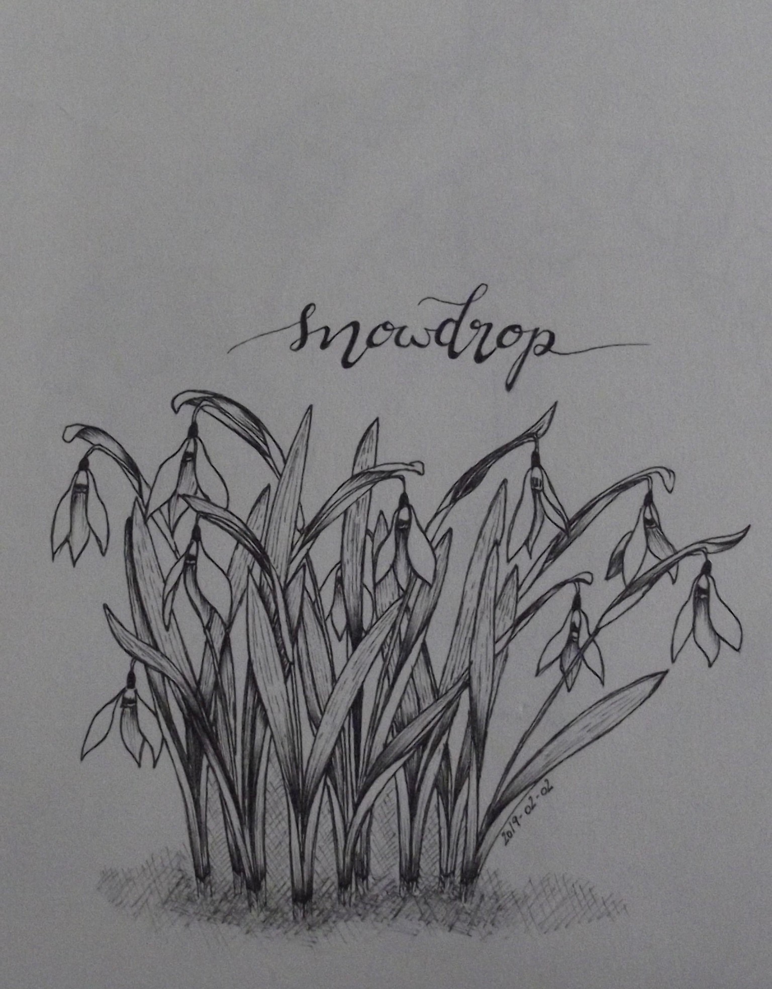 Snowdrop - image 1 - student project