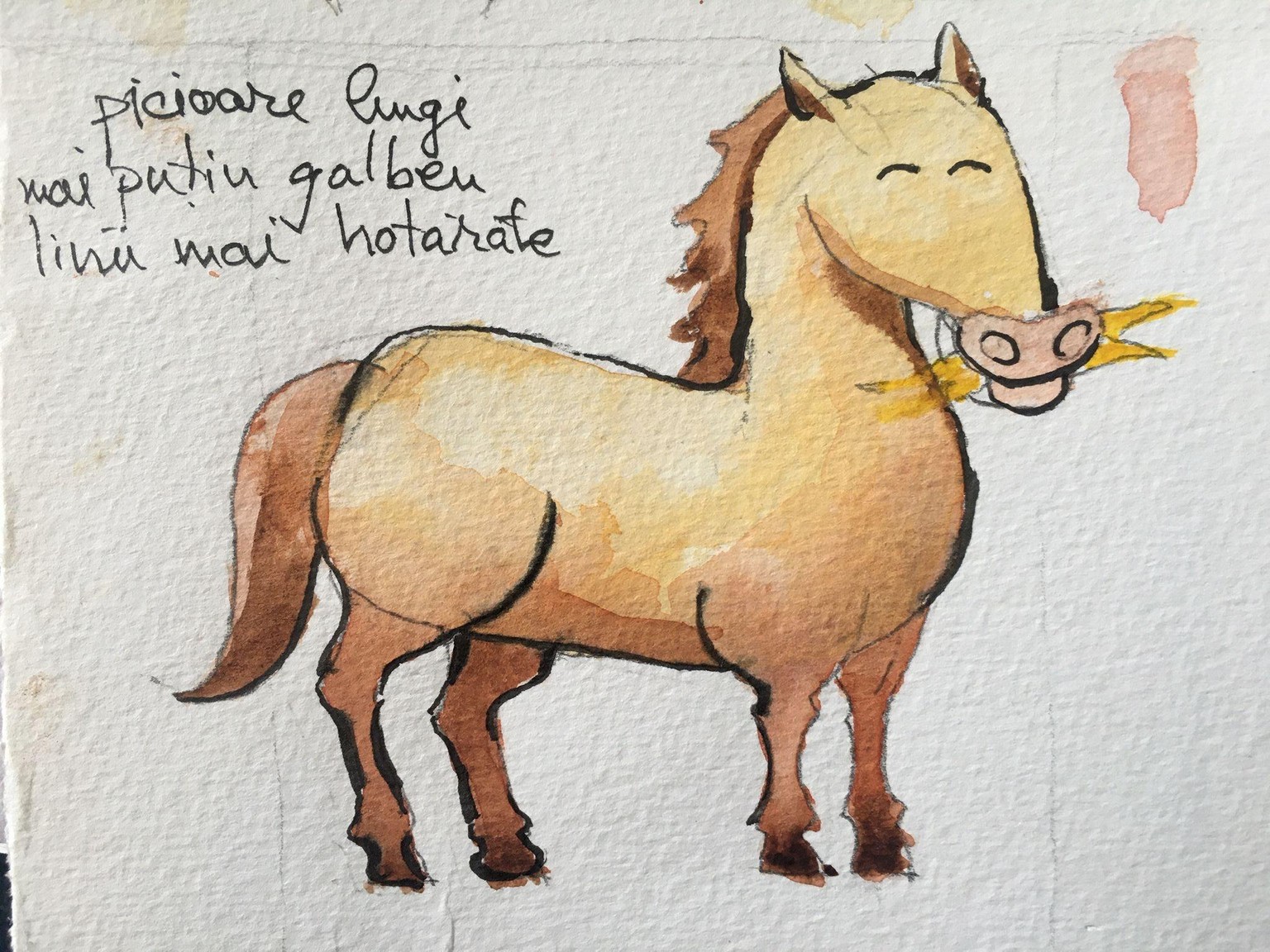 7 day watercolor challenge day 1 smiley horse - image 1 - student project