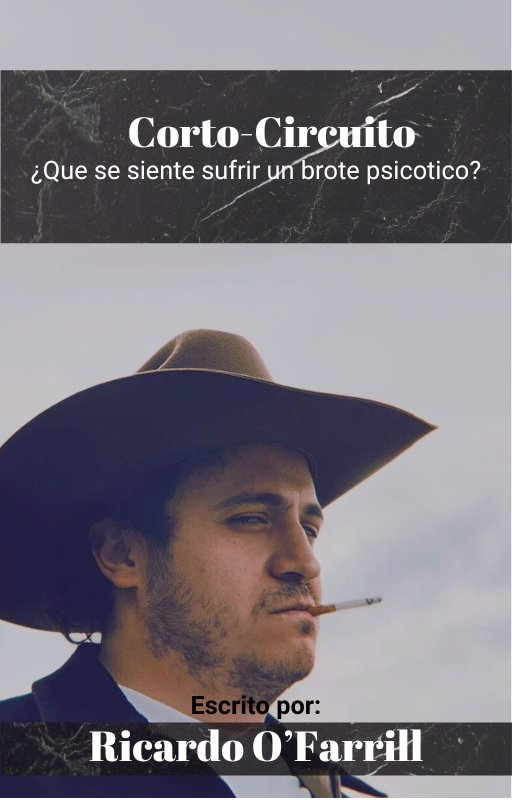 Diseños en Canva - image 1 - student project