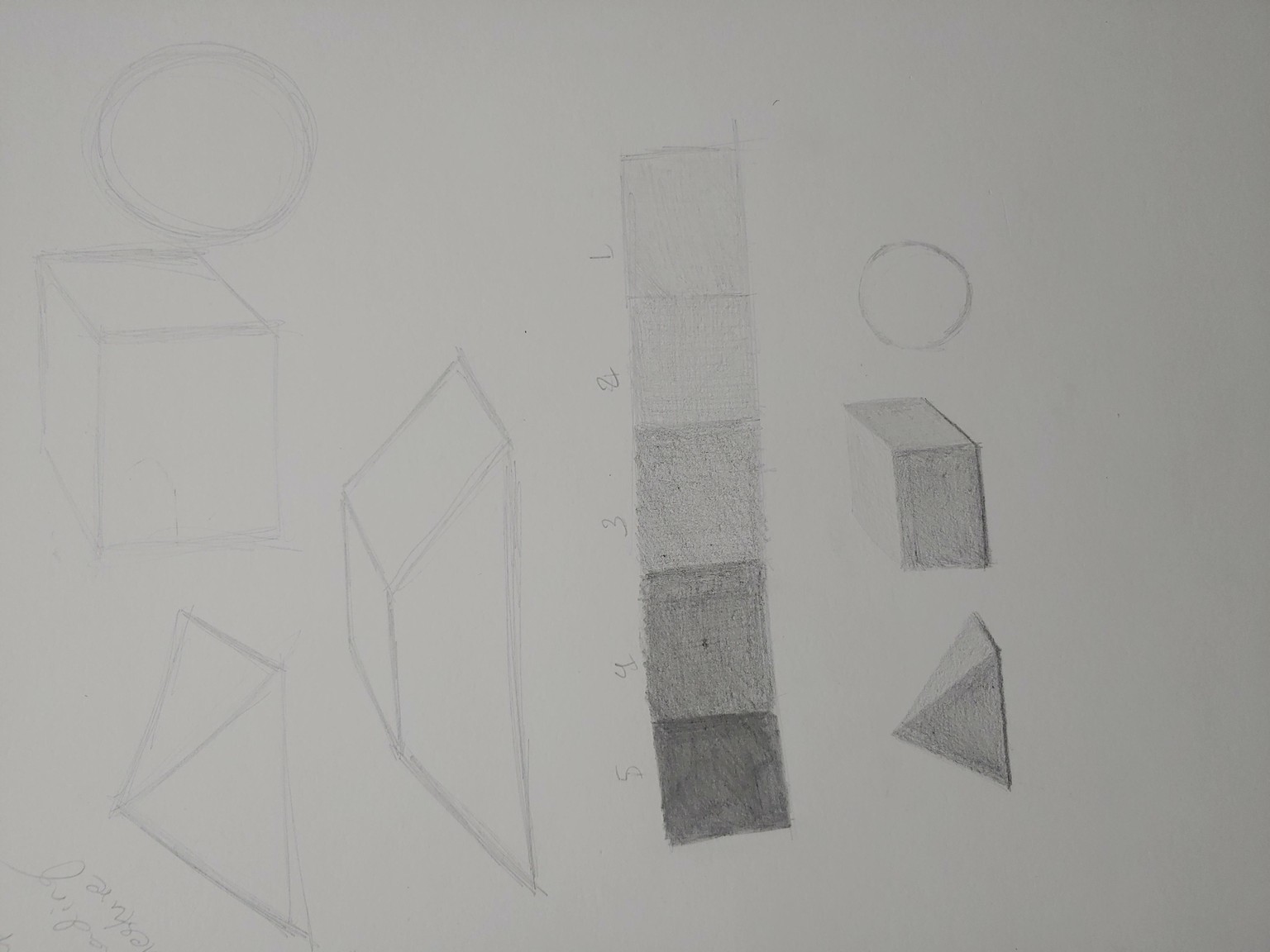 Graphite Pencil Drawing - image 7 - student project