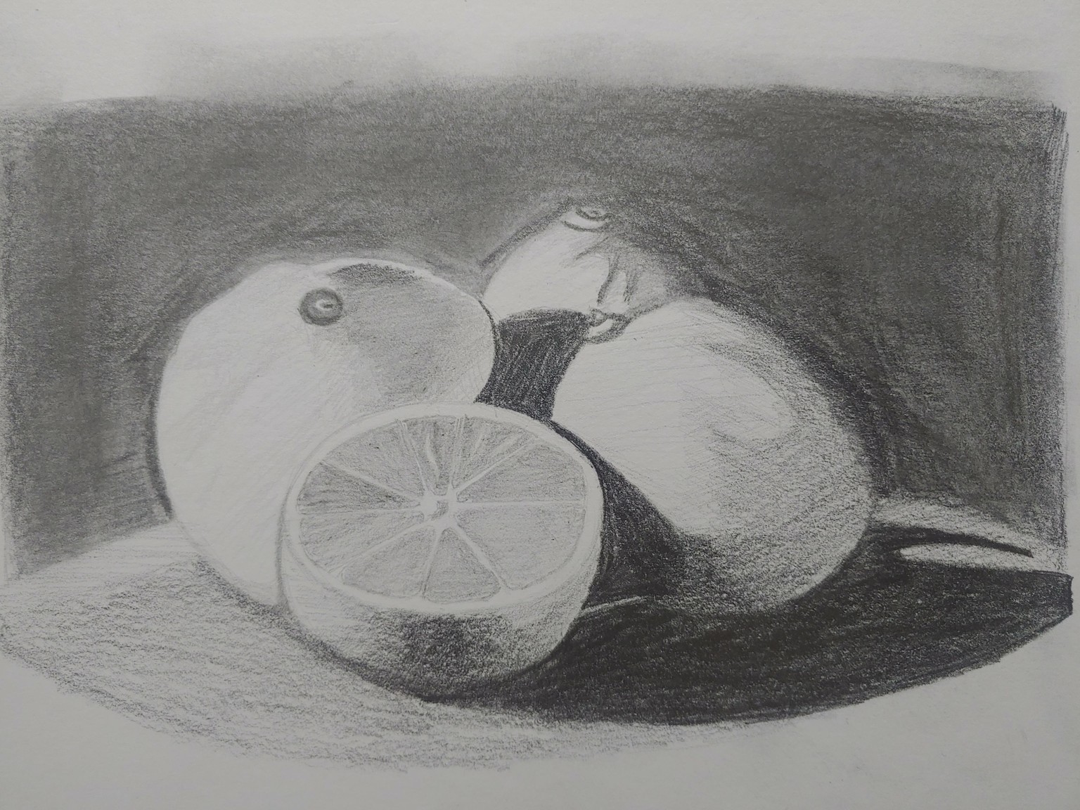 Graphite Pencil Drawing - image 2 - student project