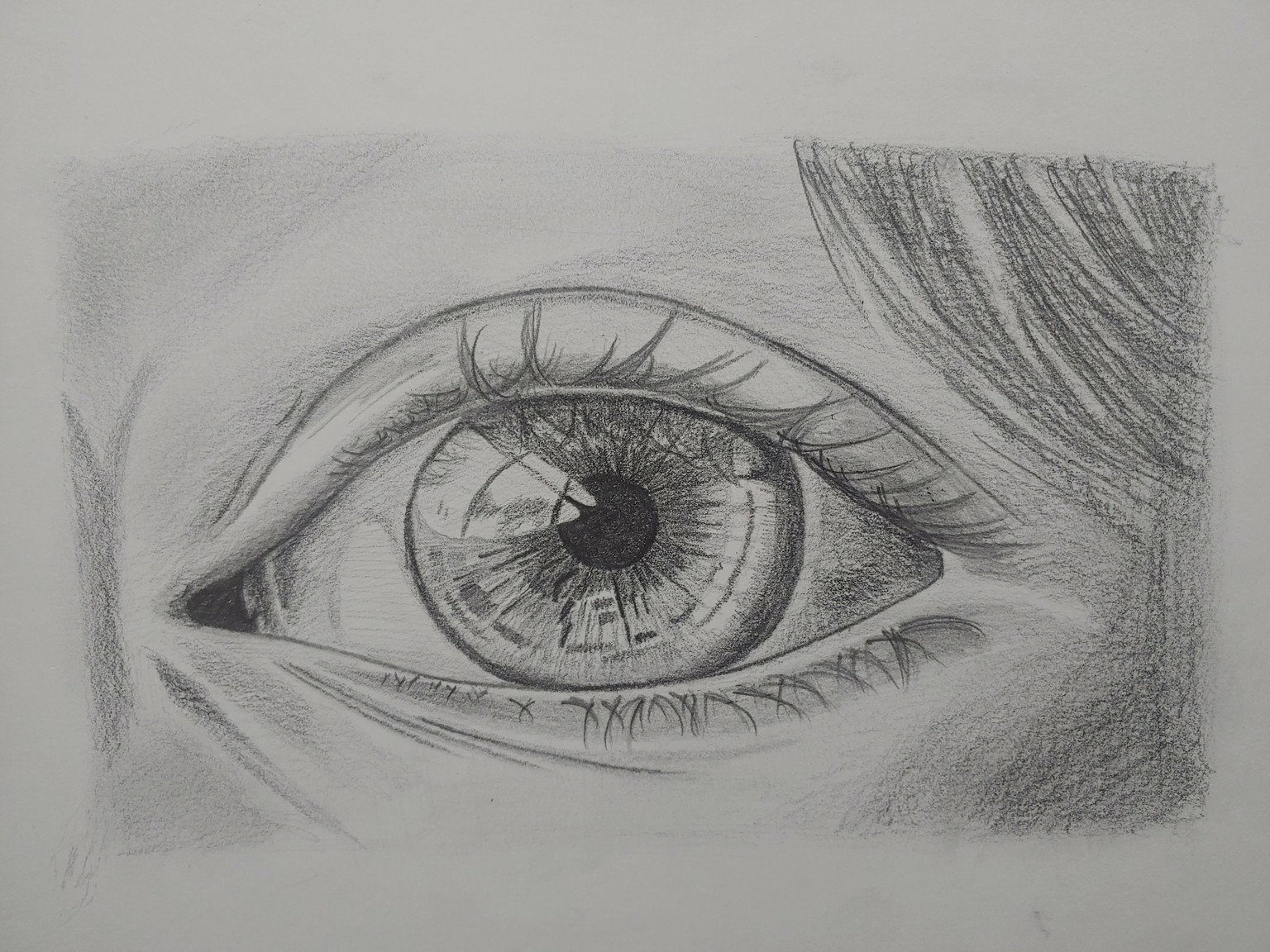 Graphite Pencil Drawing - image 1 - student project