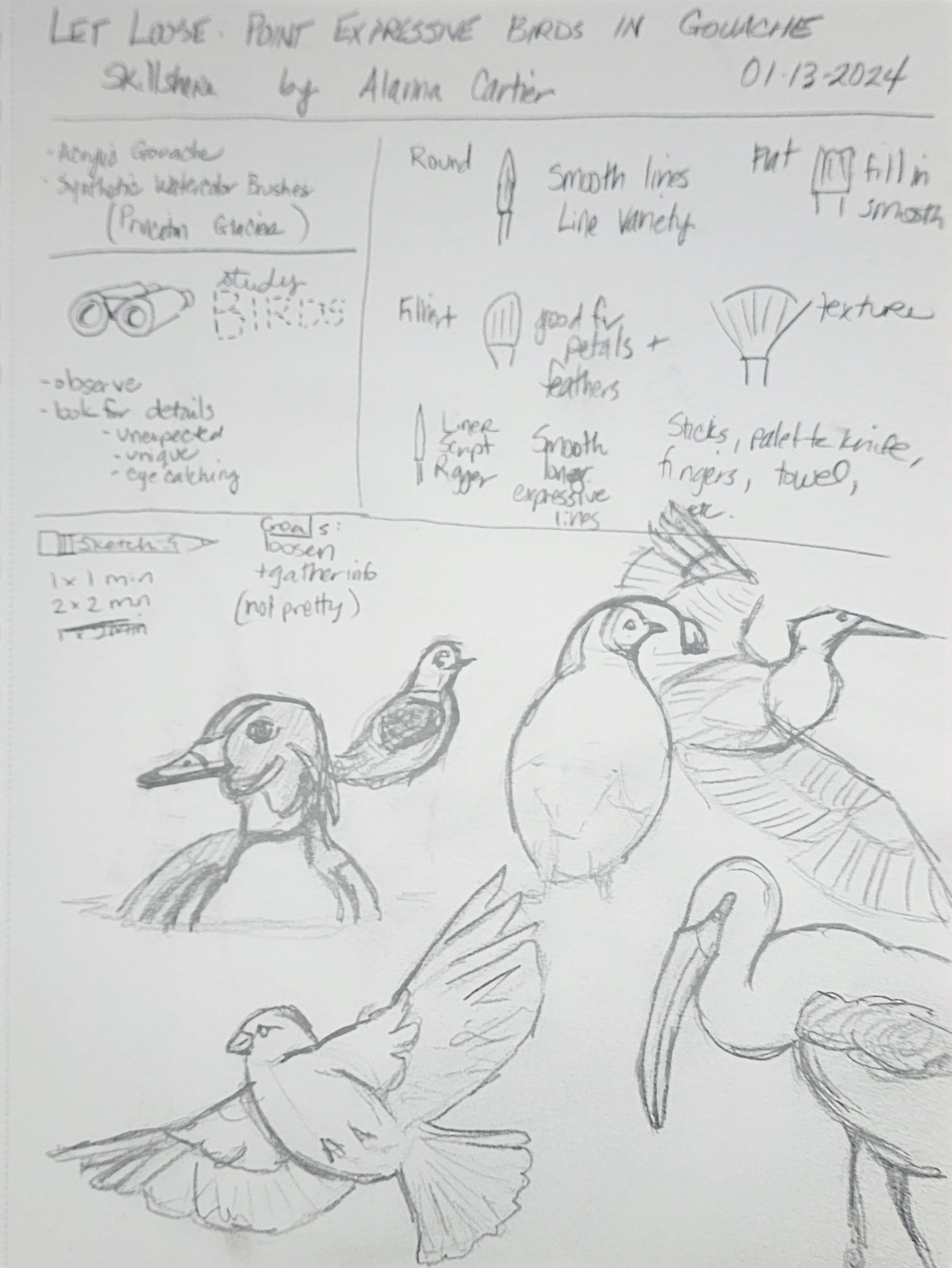 Kingfisher & other sketches - image 2 - student project