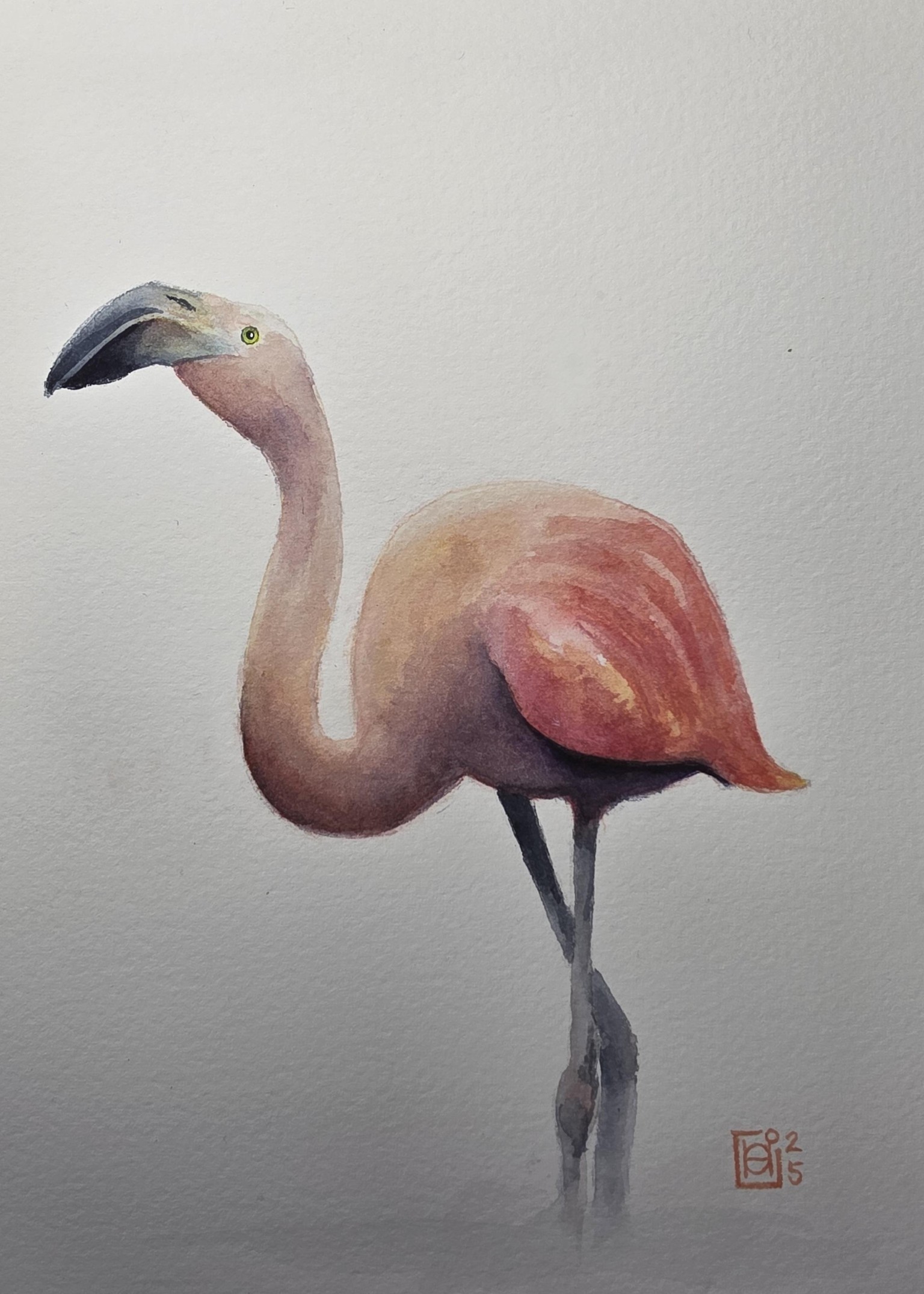 Flamingo practice - image 1 - student project