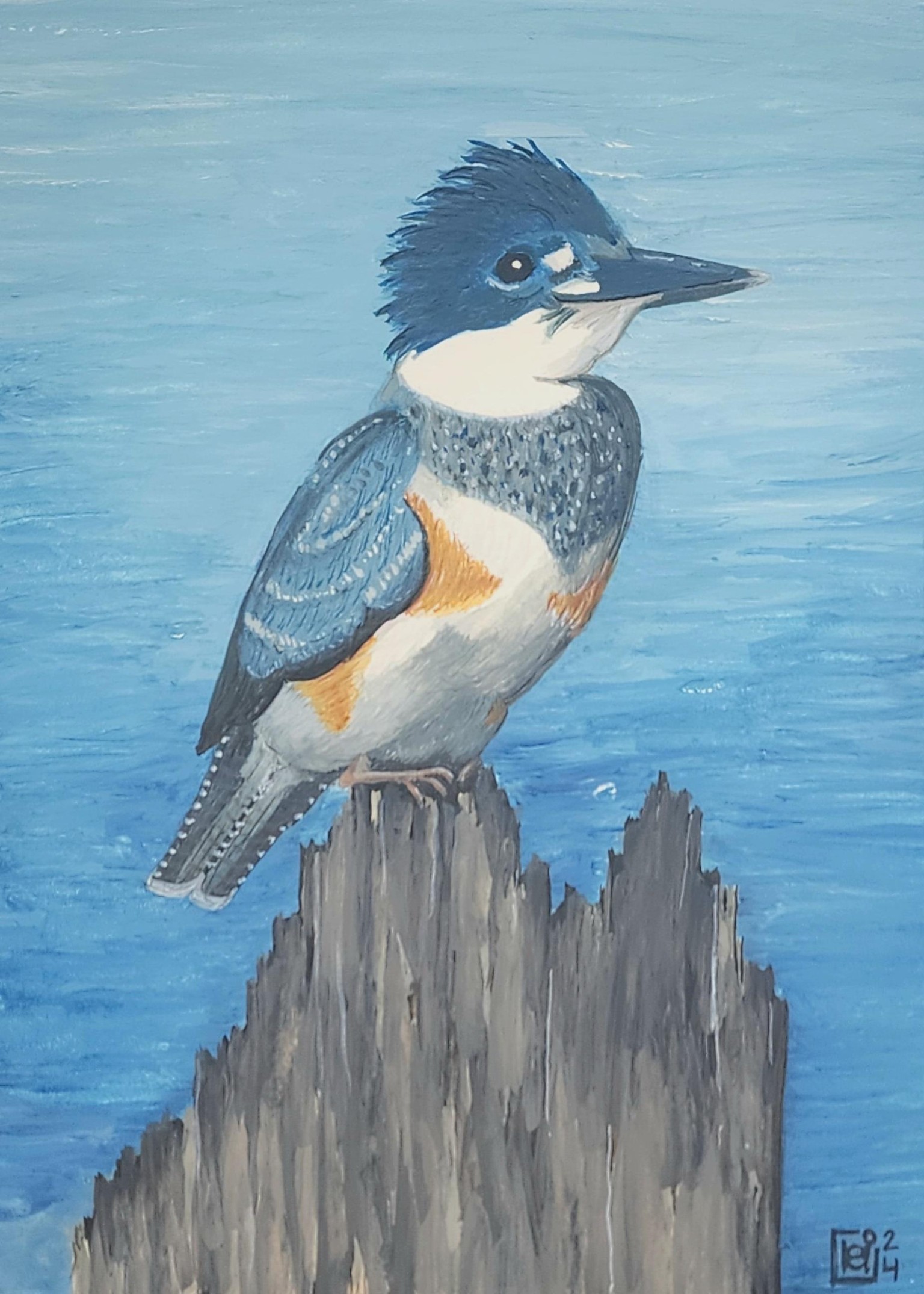 Kingfisher & other sketches - image 1 - student project