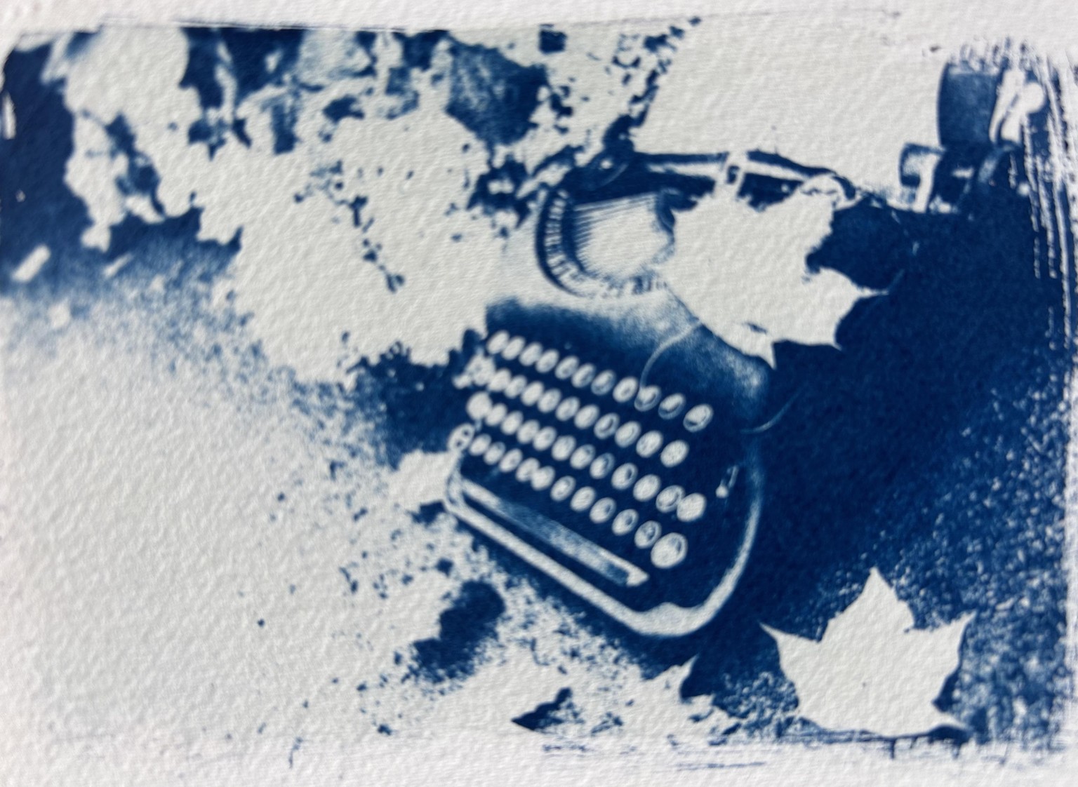 CyanoTYPE - image 1 - student project