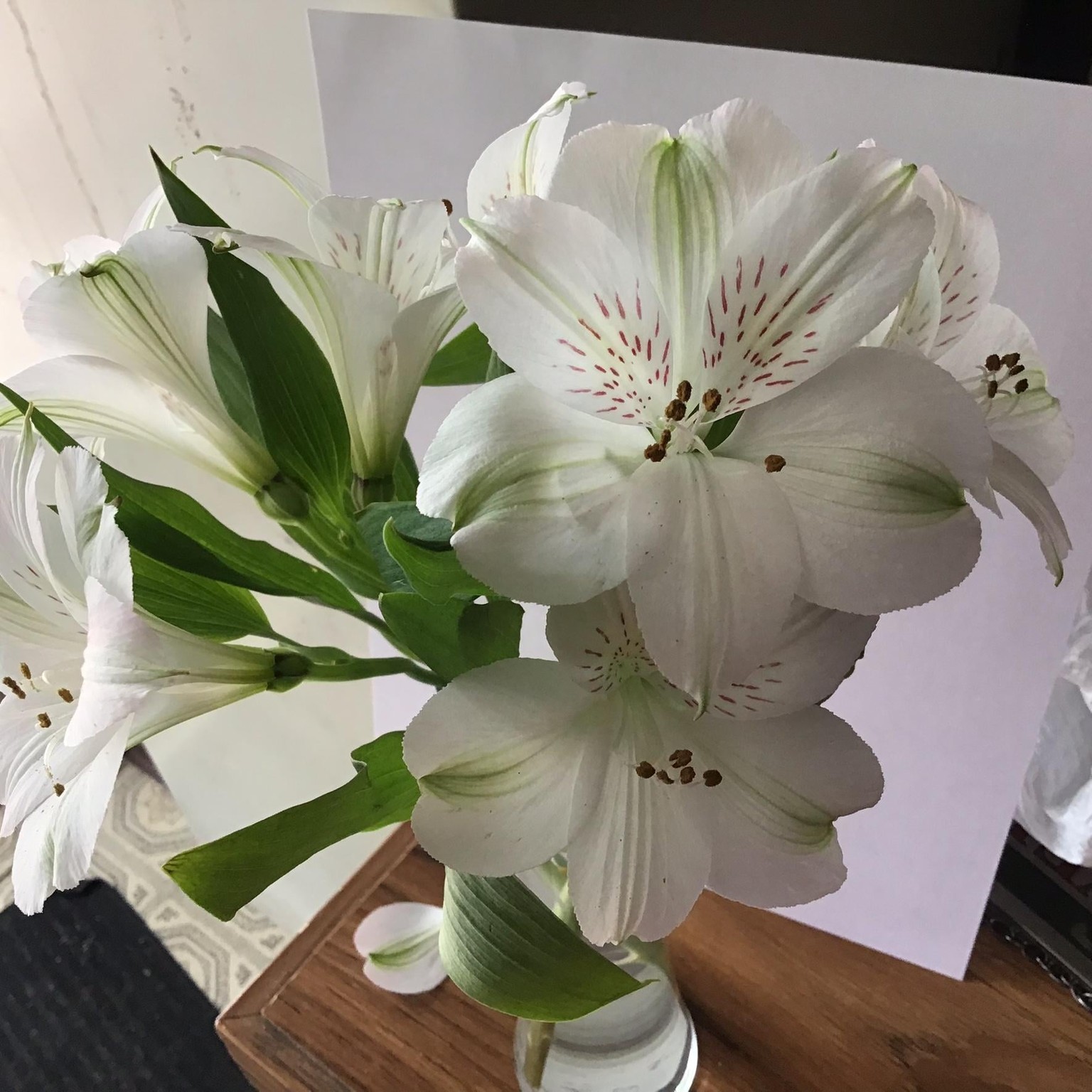 Bouquet for an Overdue Visit - image 3 - student project