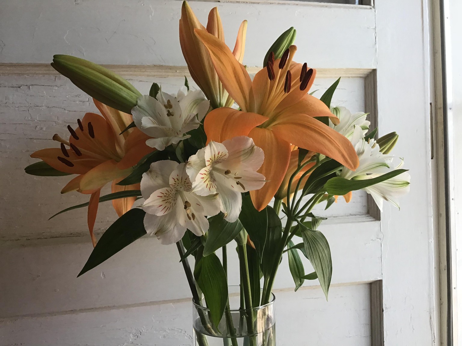 Bouquet for an Overdue Visit - image 1 - student project