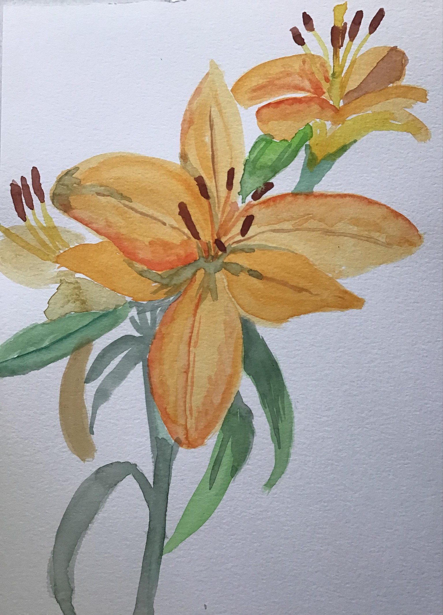 Bouquet for an Overdue Visit - image 2 - student project