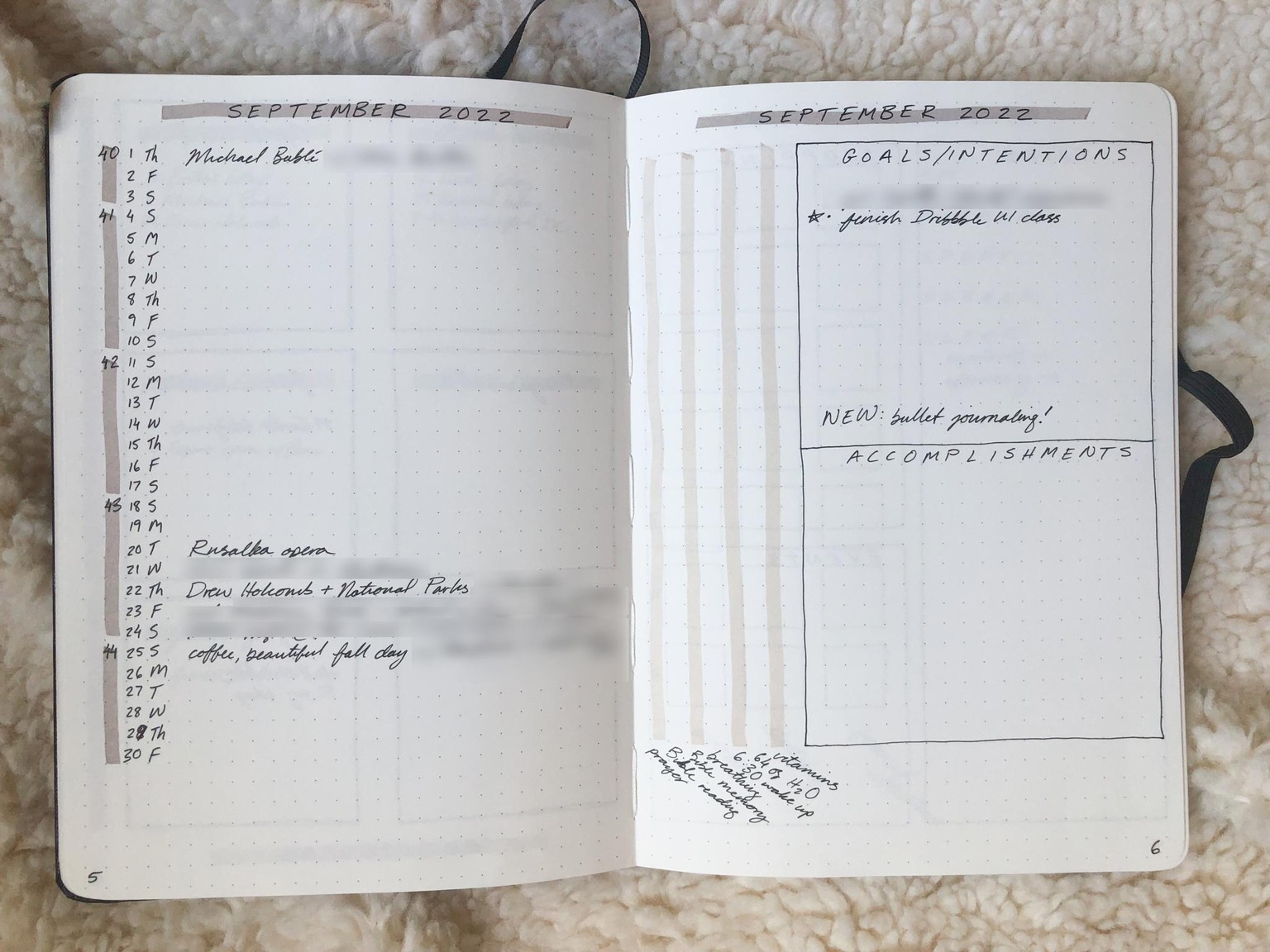 Bullet Journal Spreads - image 3 - student project