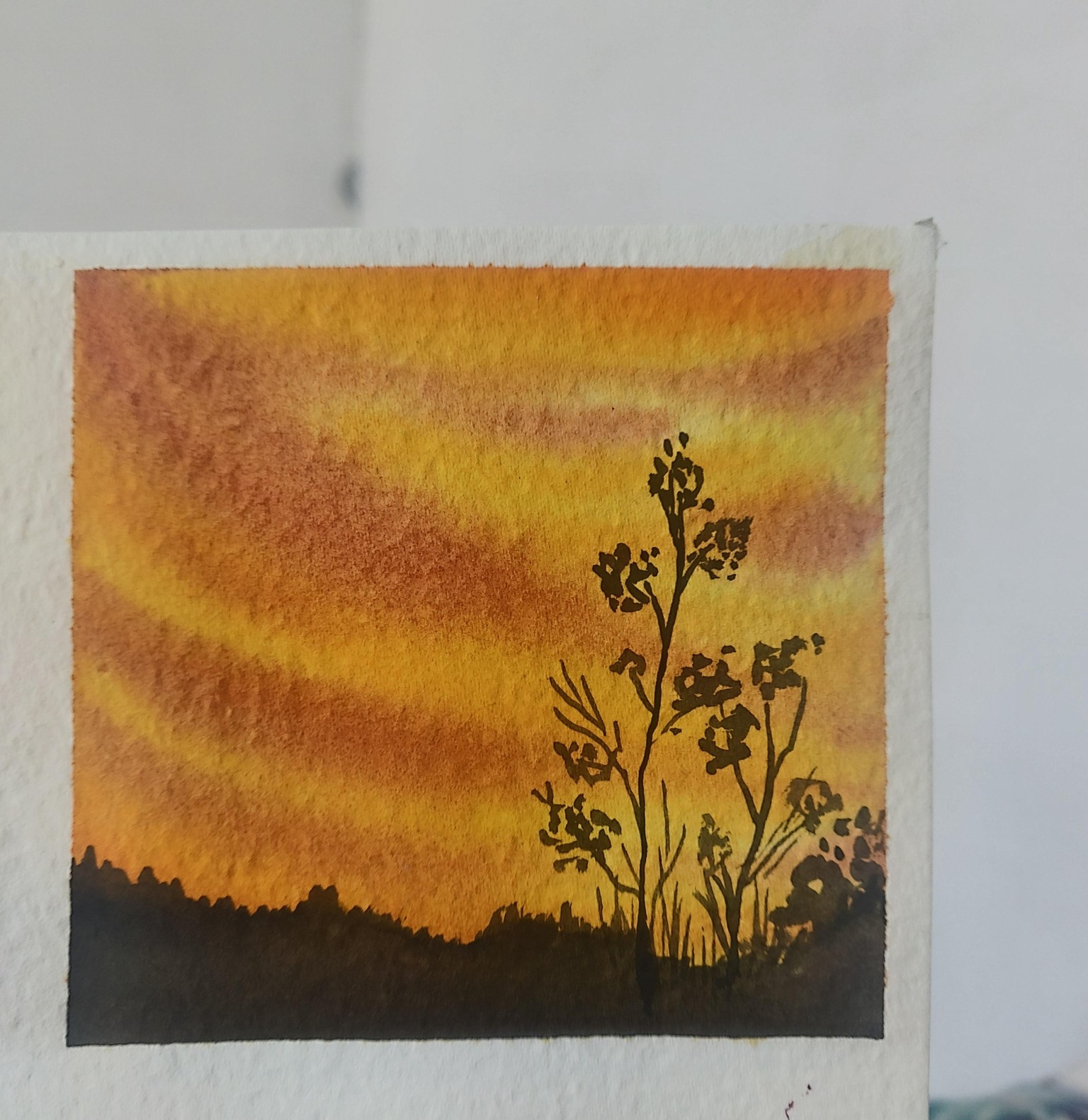 Sunset and silhouette - image 2 - student project
