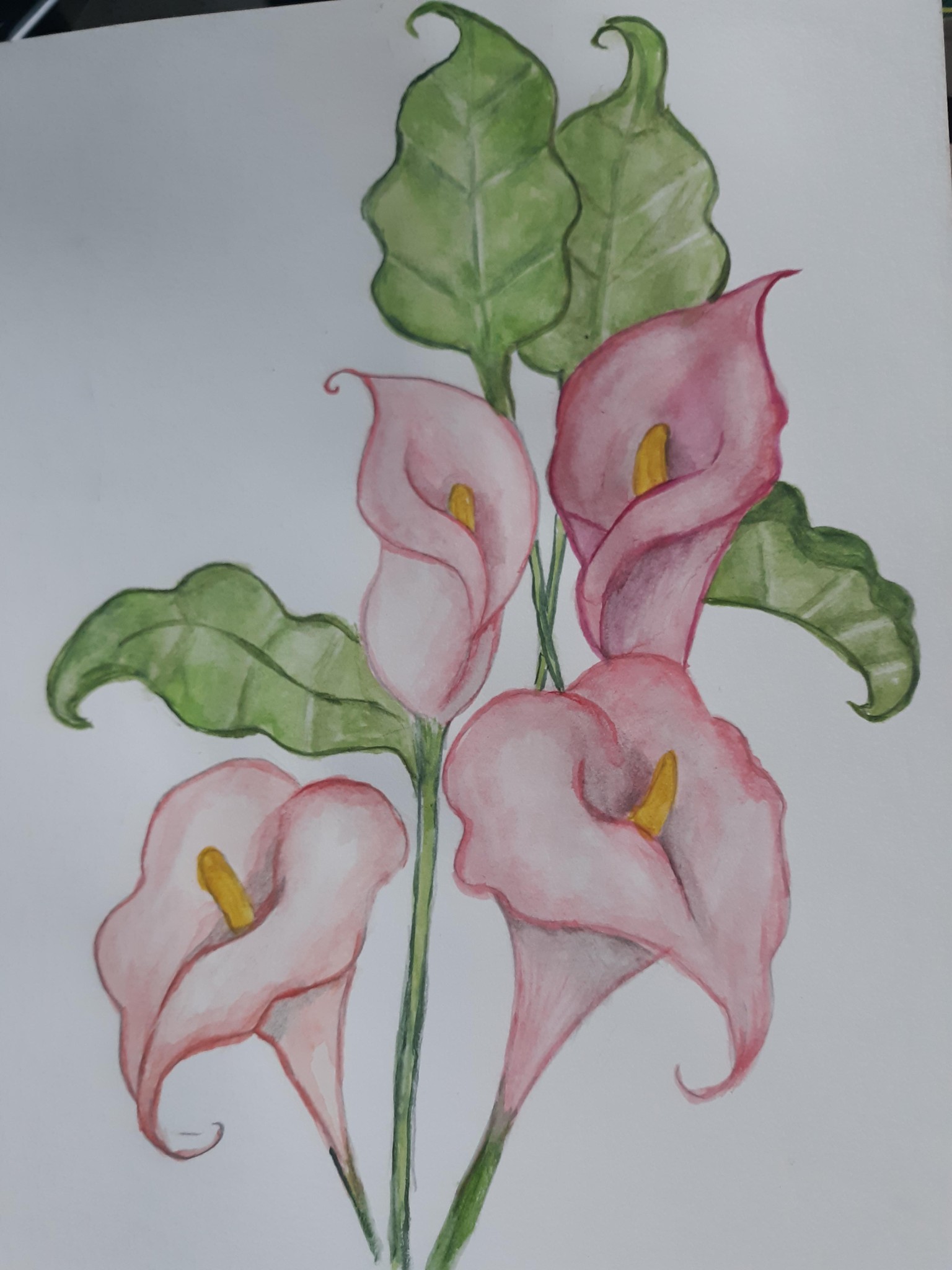 Class project: lilies - image 1 - student project