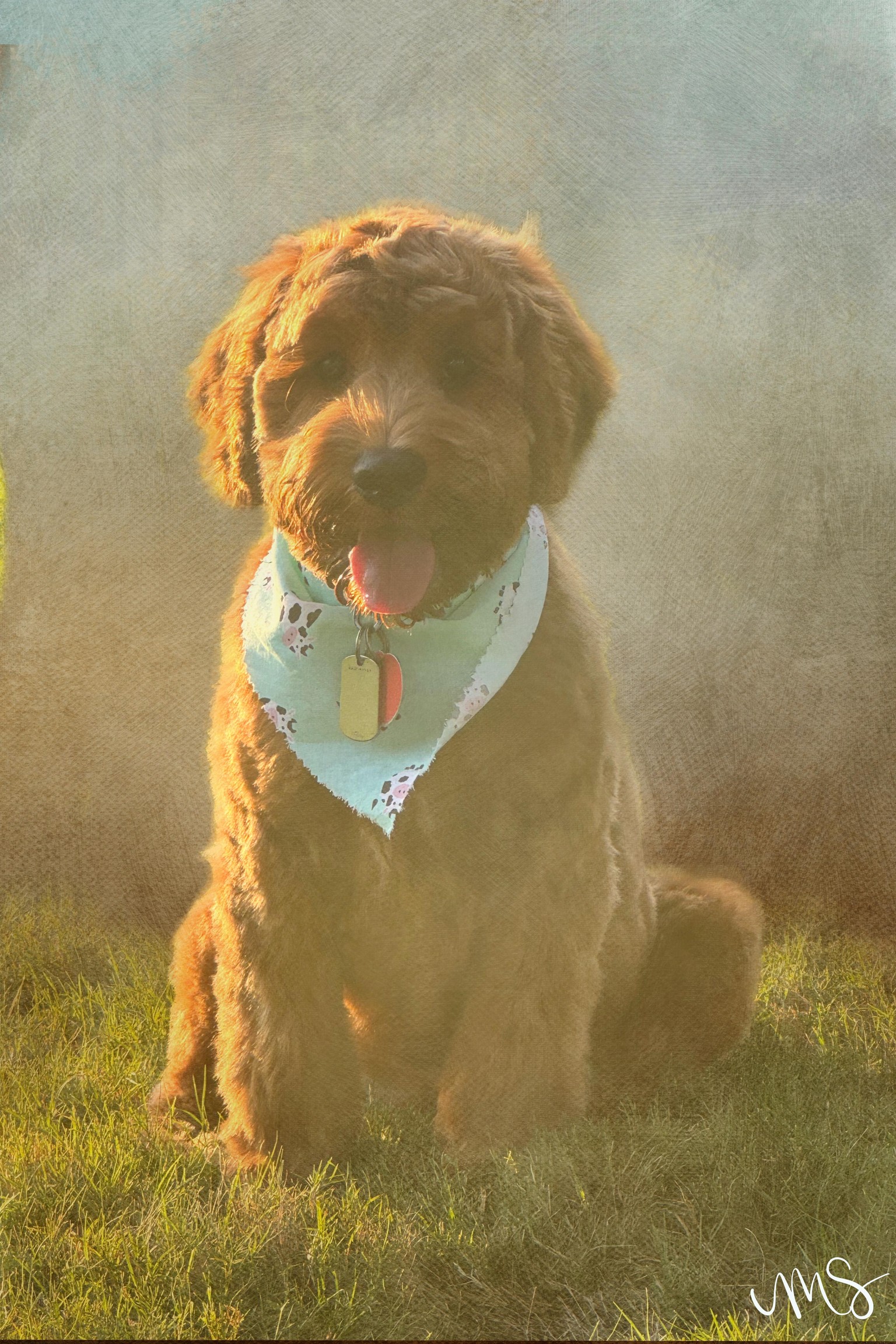 Puppy - image 1 - student project