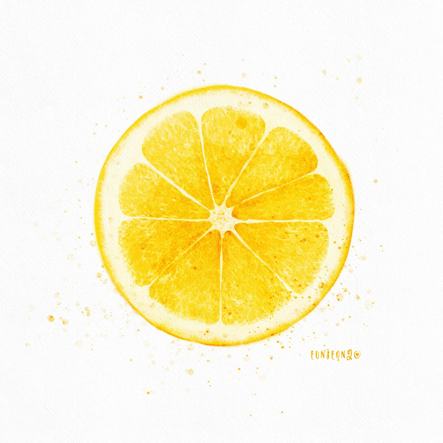 Citrus slices - image 1 - student project